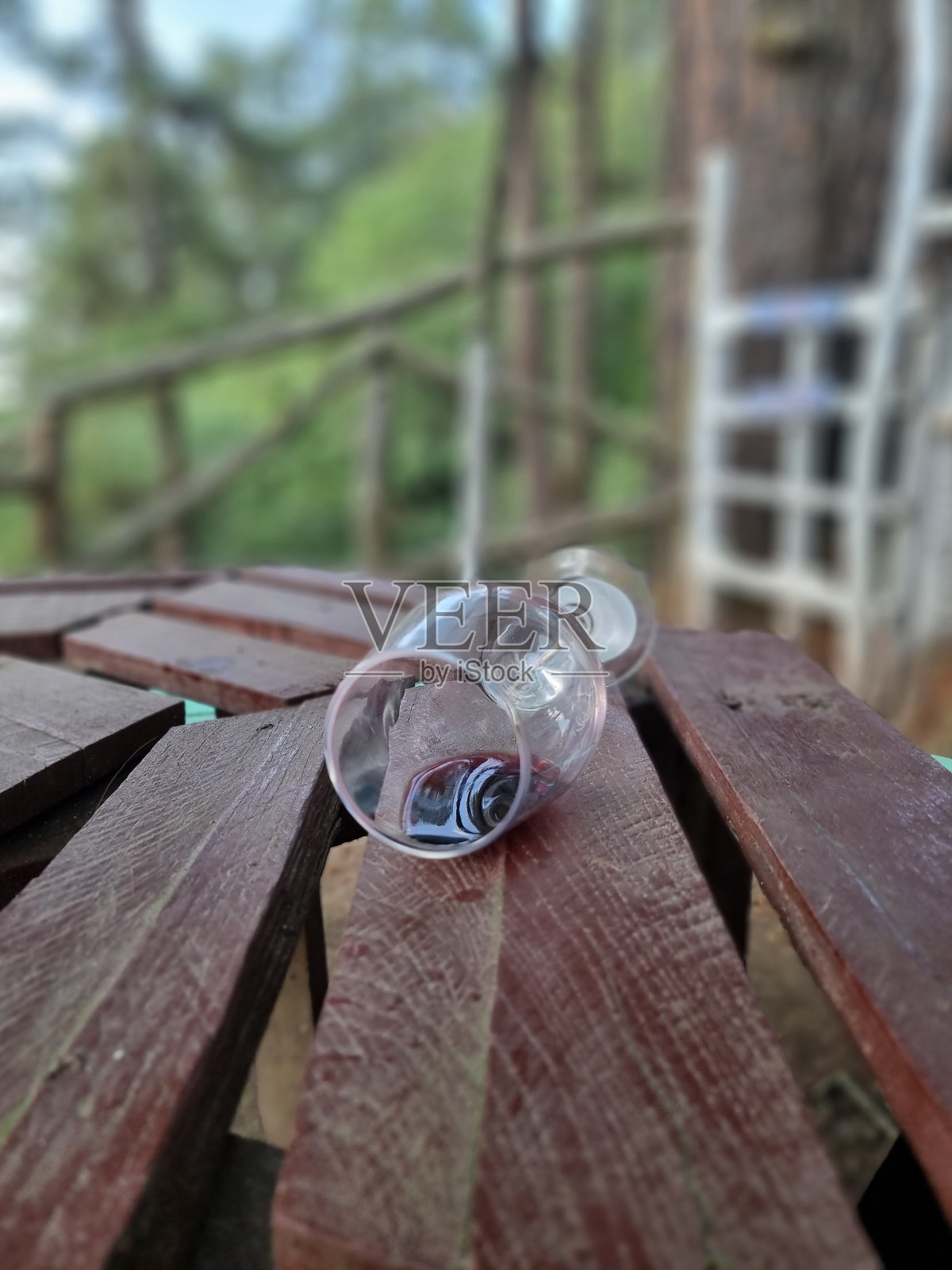 我们在树林里喝酒照片摄影图片