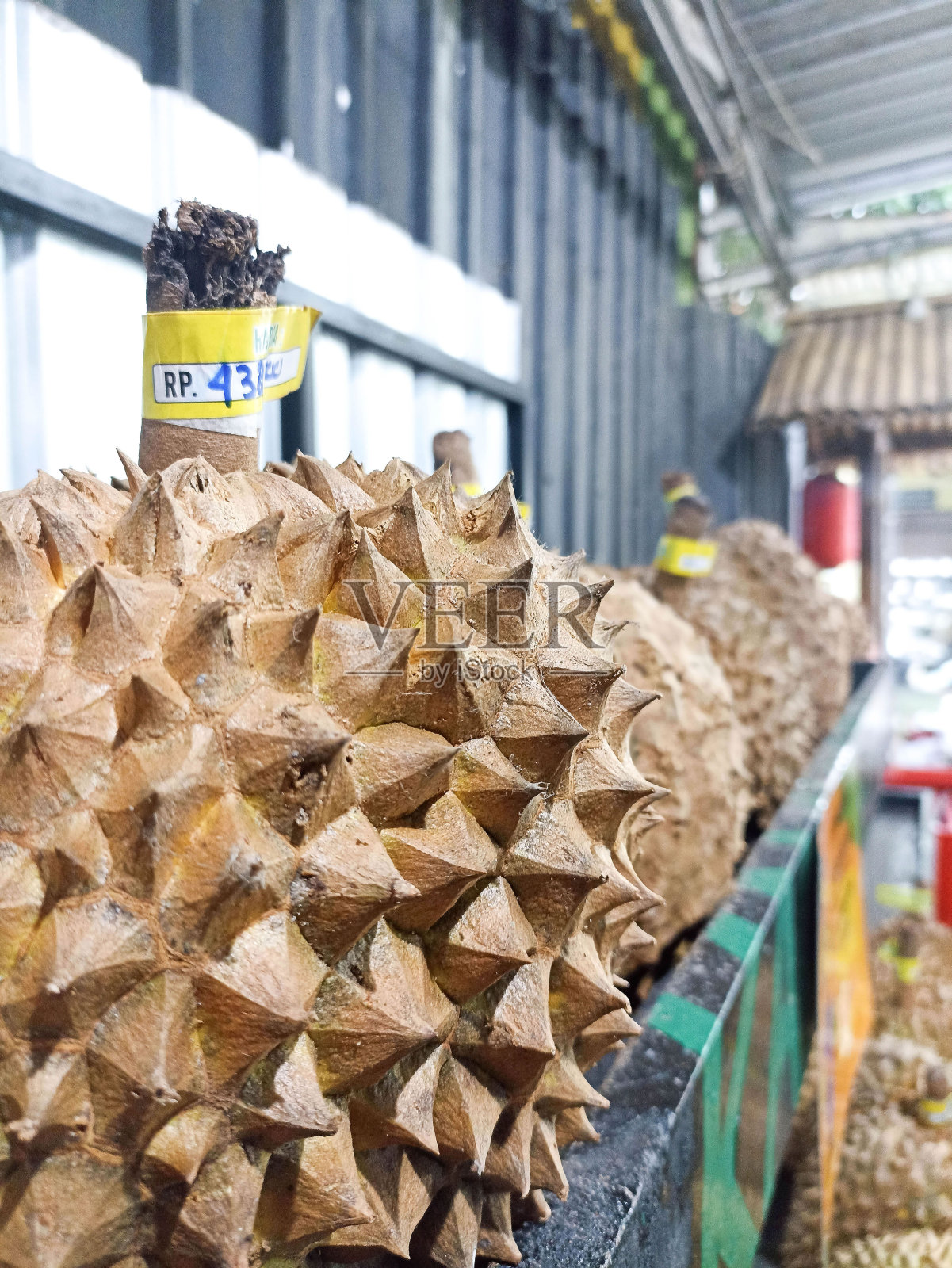 来自榴莲园的新鲜榴莲果实。照片摄影图片