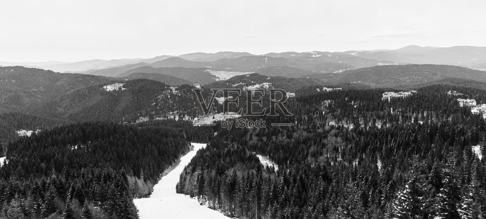 雪道、松树和多云的天空照片摄影图片