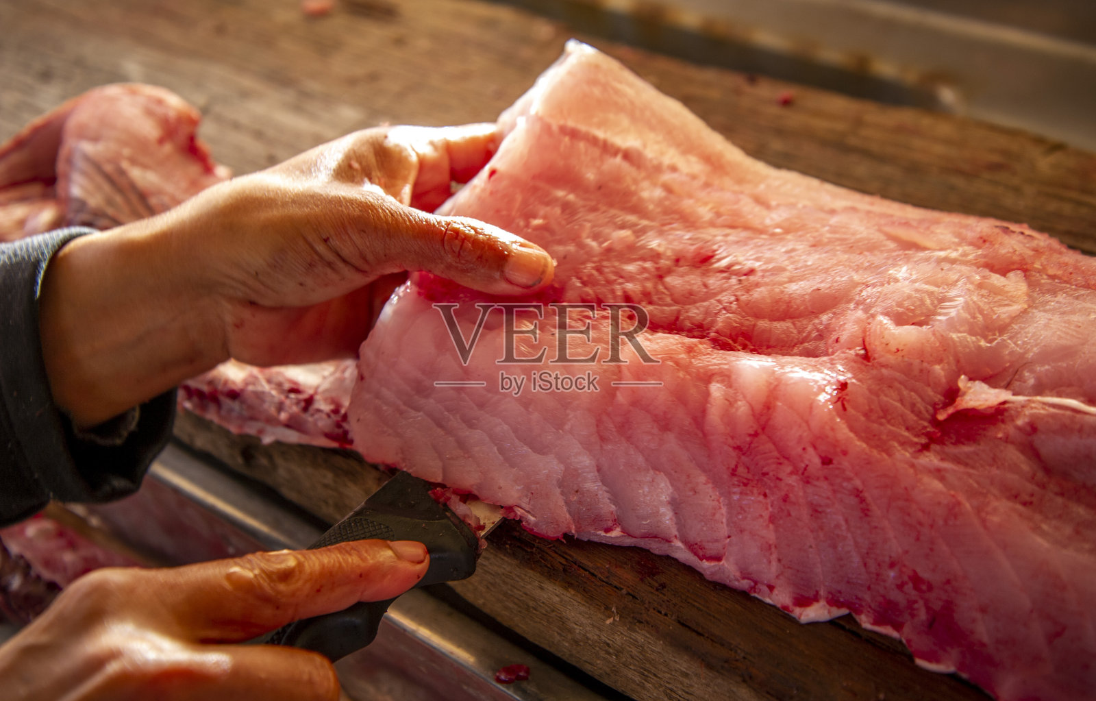 鲨鱼角照片摄影图片