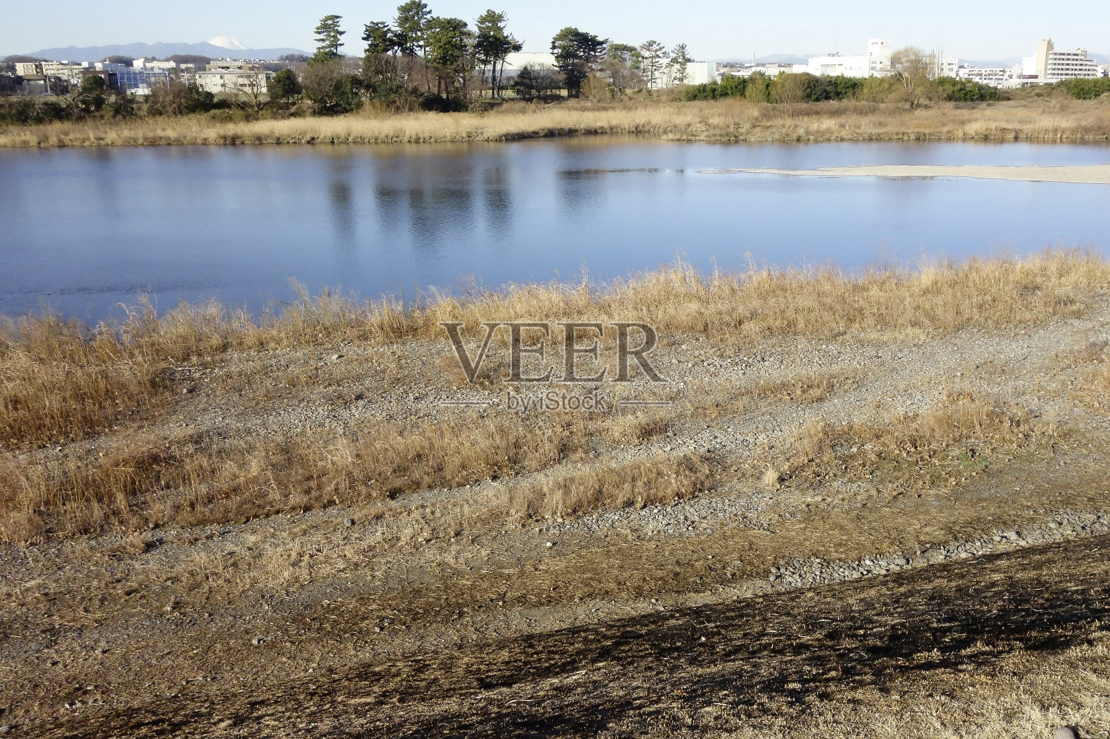 河床上的枯草和灌木照片摄影图片