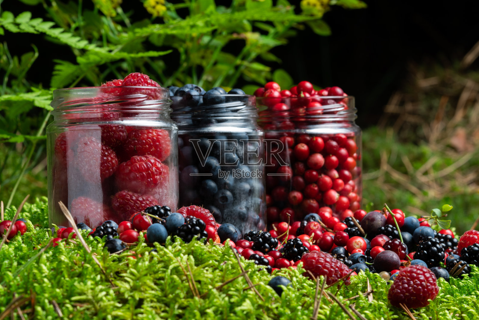 浆果新鲜的混合混合头顶安排接近工作室在黑暗的背景。照片摄影图片