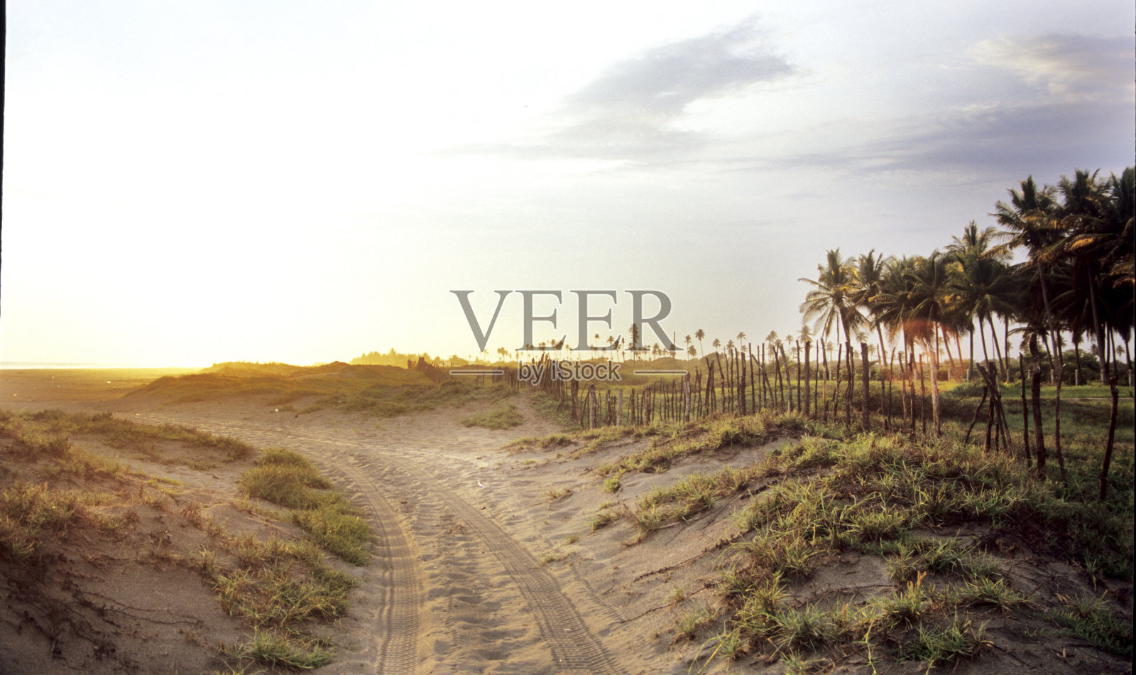 遥远的太平洋海滨路照片摄影图片