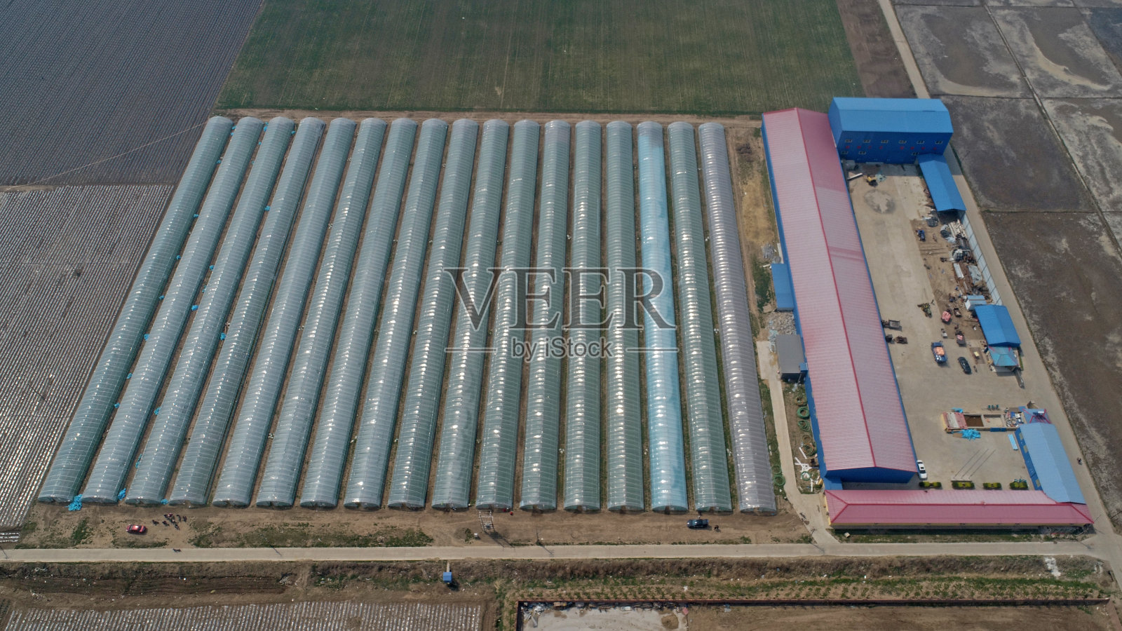 中国北方农村的蔬菜大棚照片摄影图片