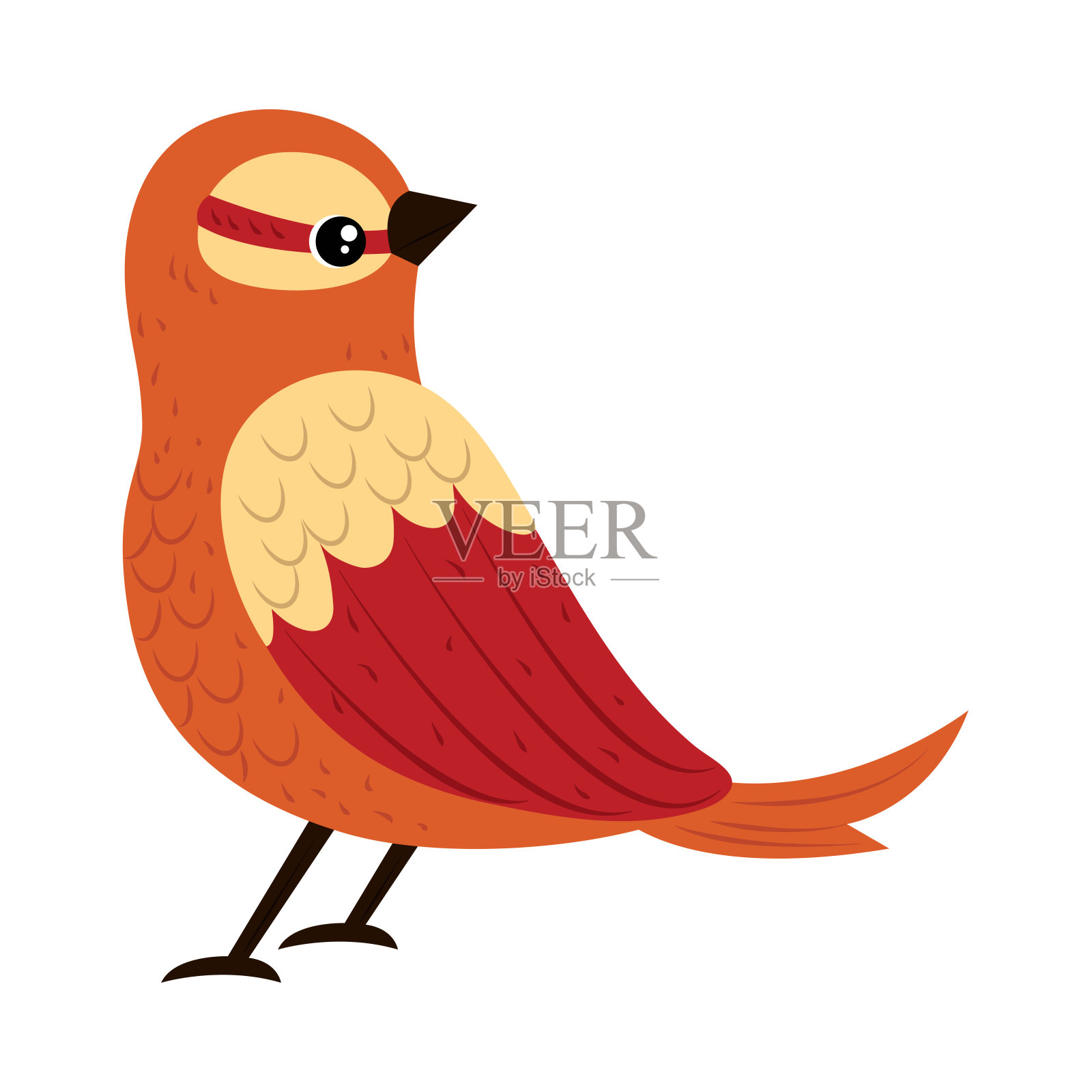 鸟红羽毛插画图片素材