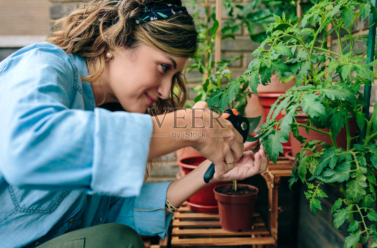 女园丁在露台上用剪枝剪修剪城市花园的植物叶子的肖像照片摄影图片