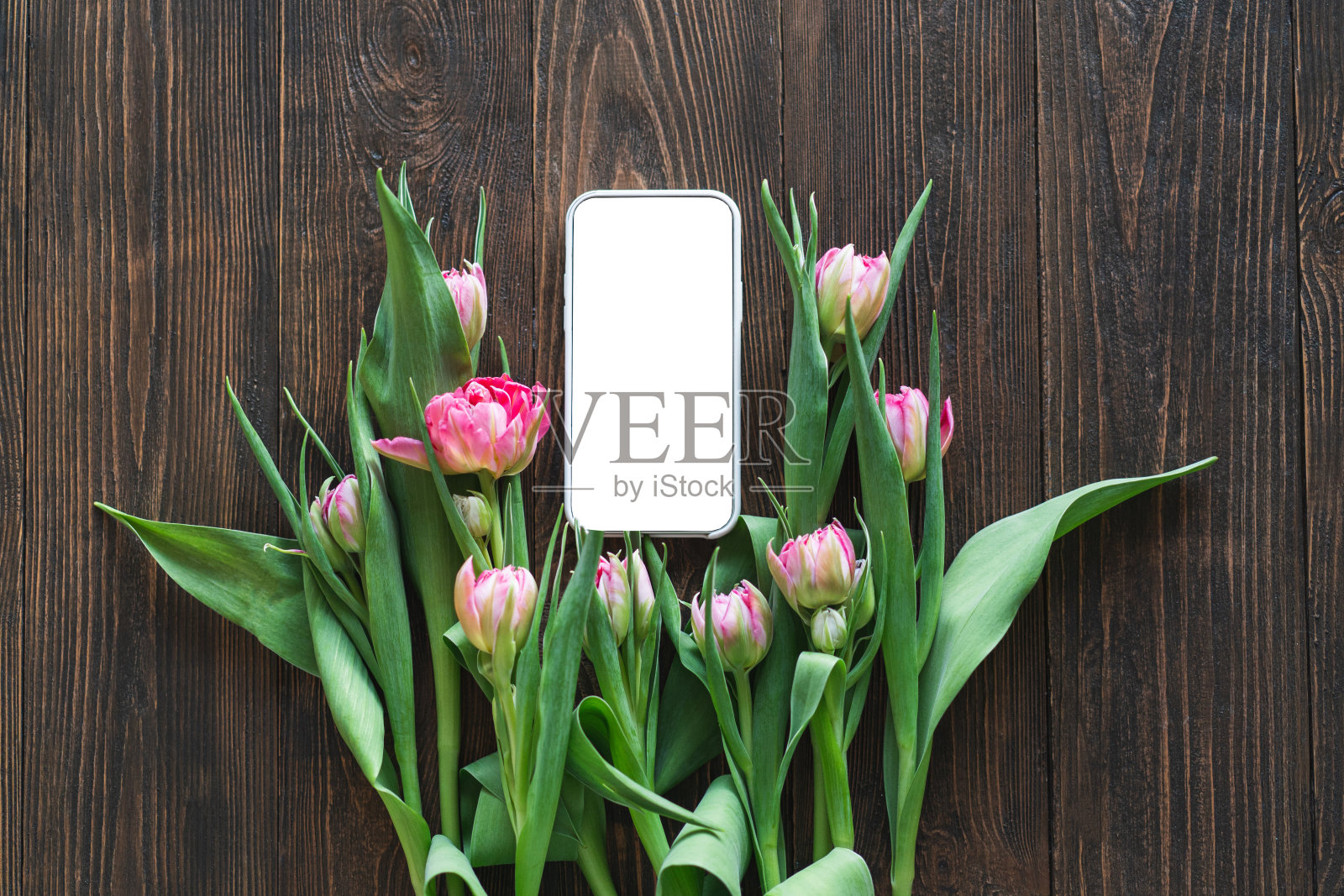 手机和春花照片摄影图片