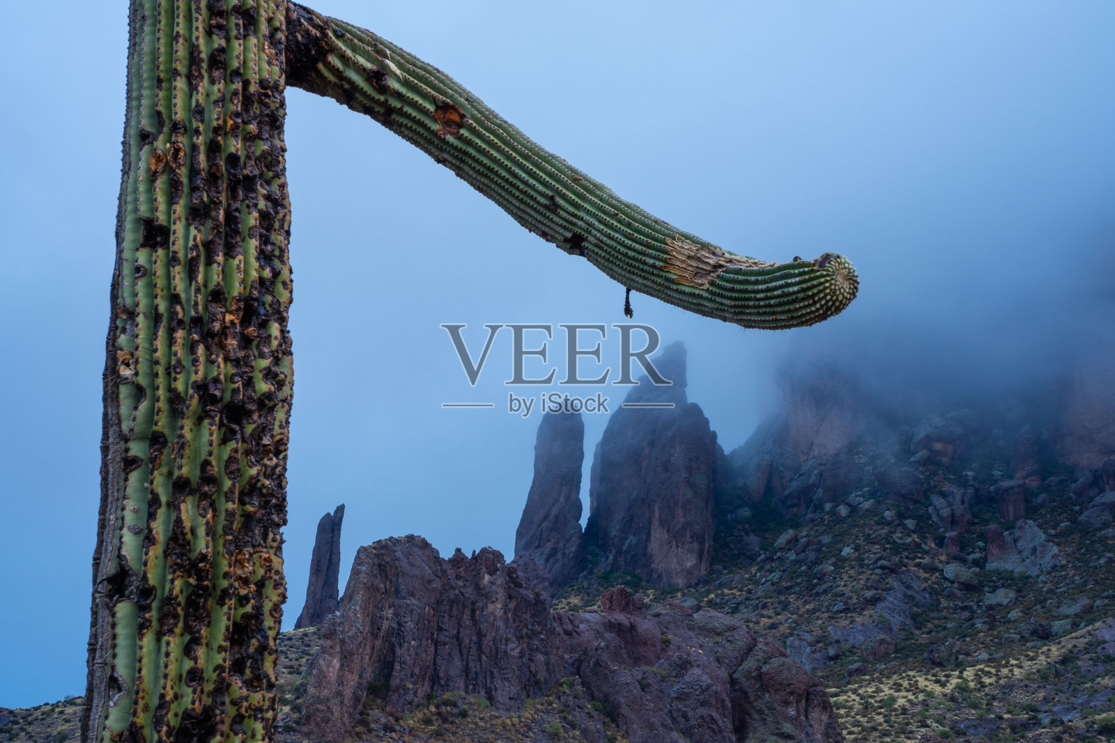 在亚利桑那州阿帕奇交界处的失落荷兰人州立公园，晨雾笼罩在迷信山脉崎岖的风景上照片摄影图片