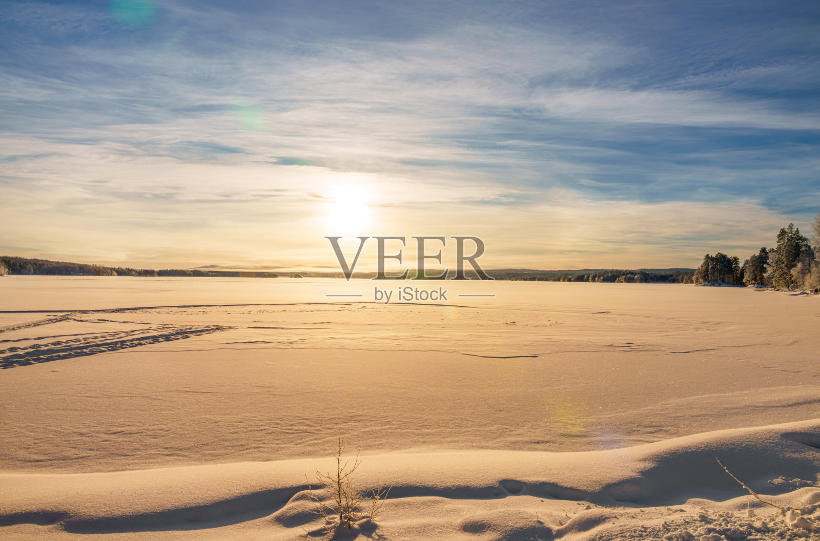 瑞典的冬天有冰、雪、部分湖泊和桦树。照片摄影图片