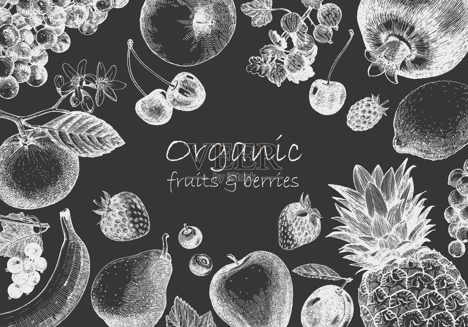 手绘插图与水果。框架。向量插画图片素材