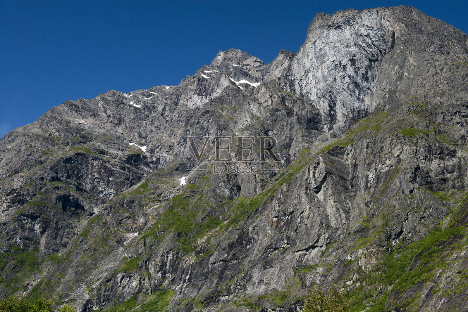 挪威的野生动物-第一部分照片摄影图片