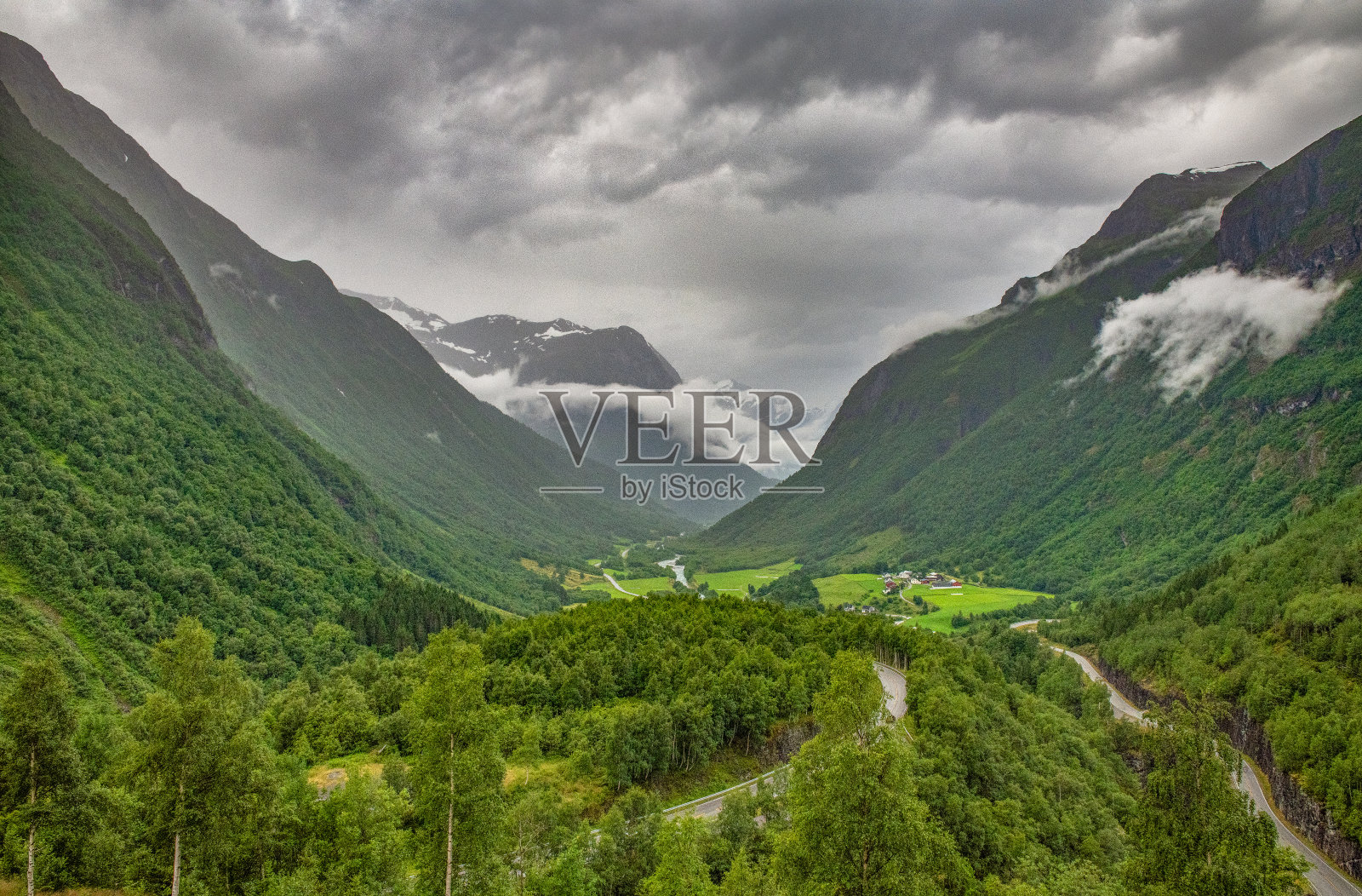 挪威的野生动物-第一部分照片摄影图片
