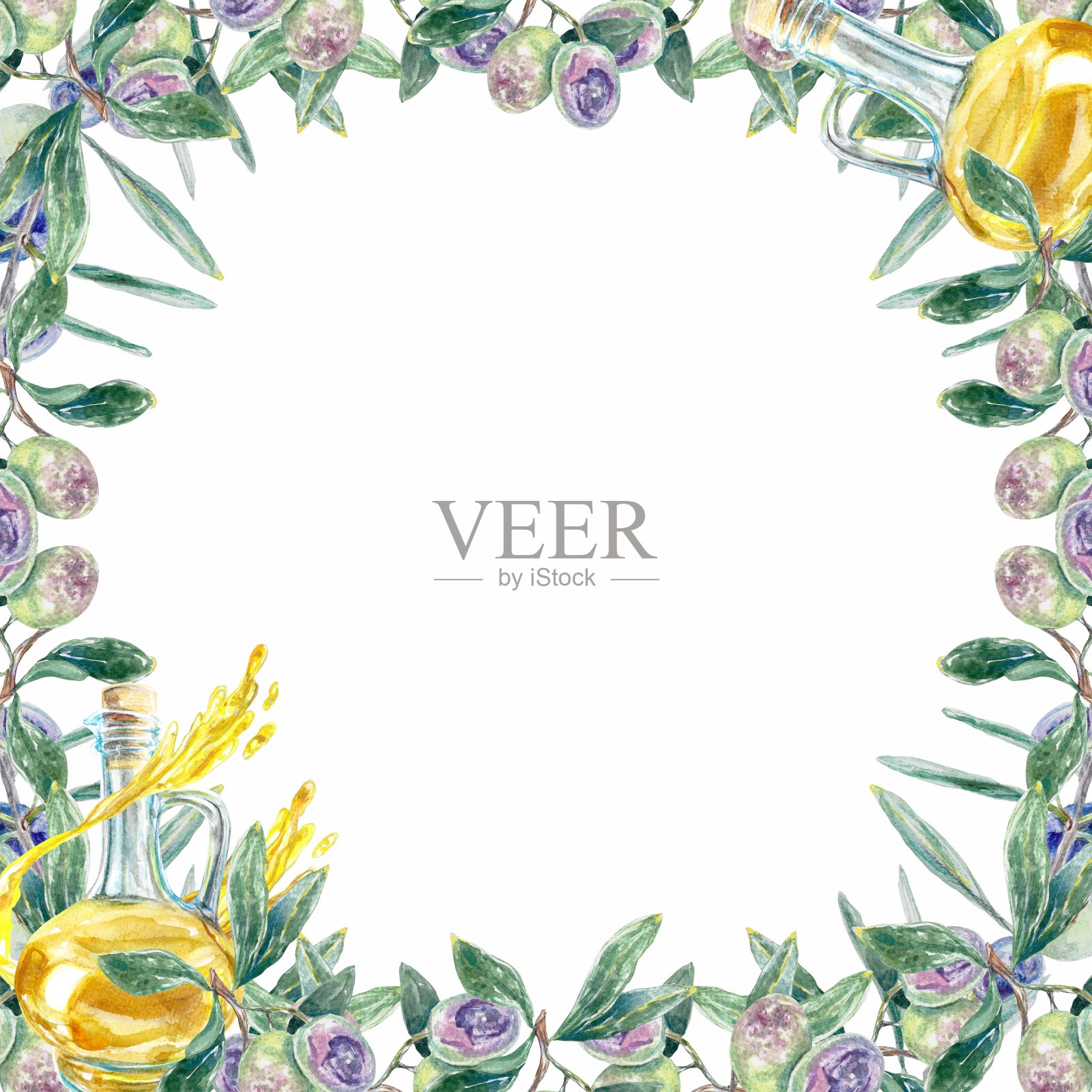 橄榄框，油彩，水彩。植物插图孤立在白色背景。标签，包装，传单，卡片，请柬，化妆品。插画图片素材