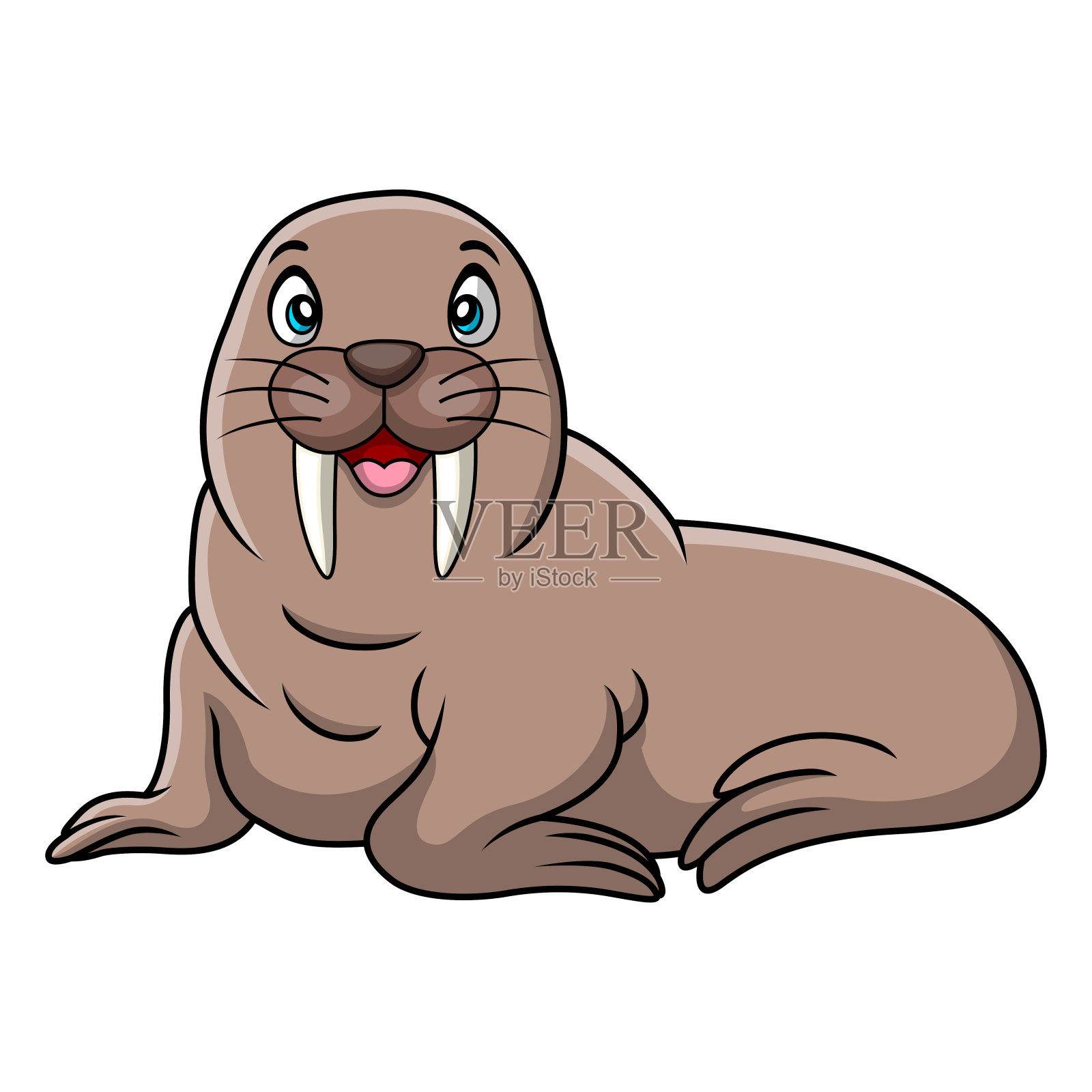 可爱的海象卡通在白色的背景插画图片素材