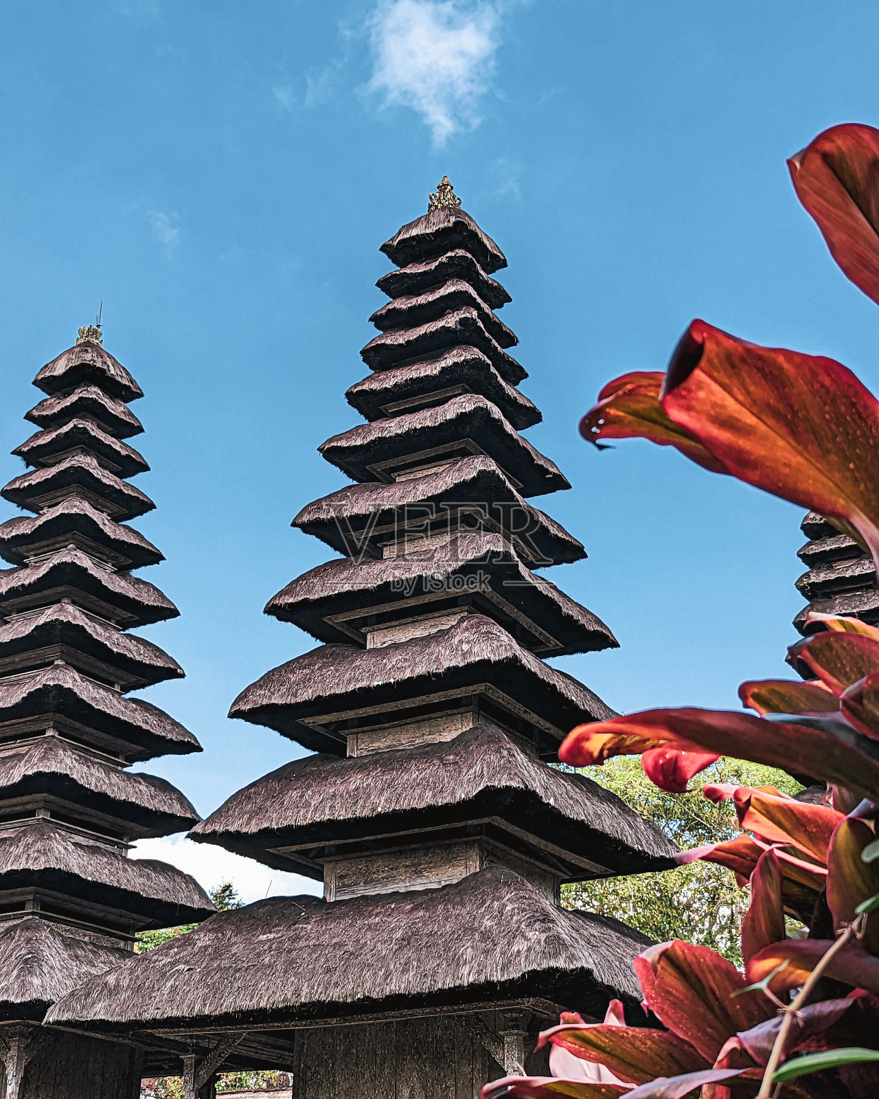 聚焦巴厘岛:摄影探索照片摄影图片