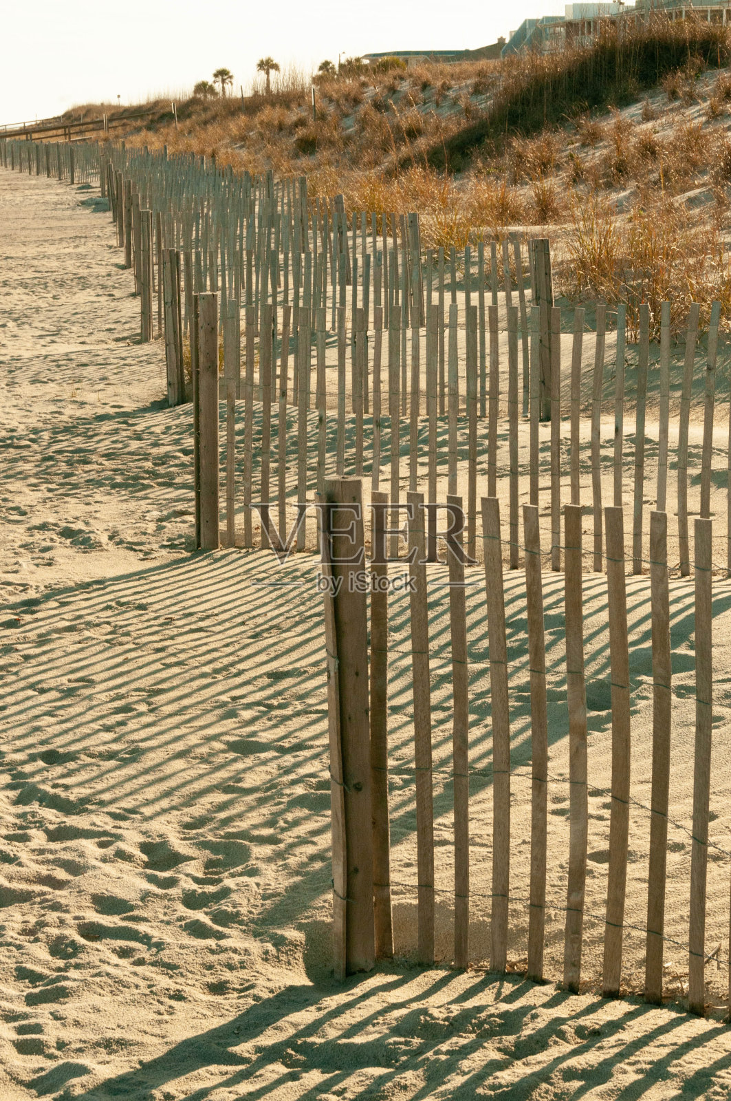 海滩击剑照片摄影图片