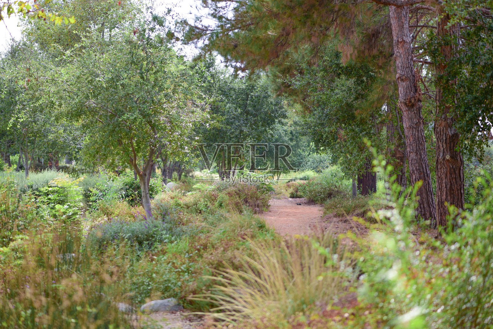 户外步道照片摄影图片