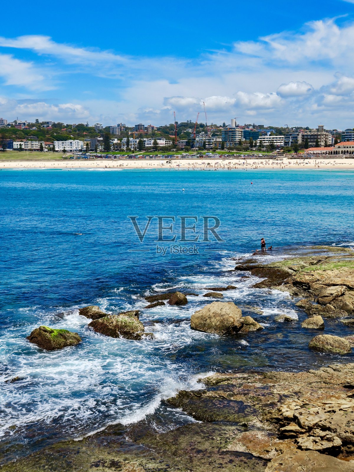 悉尼的邦迪海滩照片摄影图片