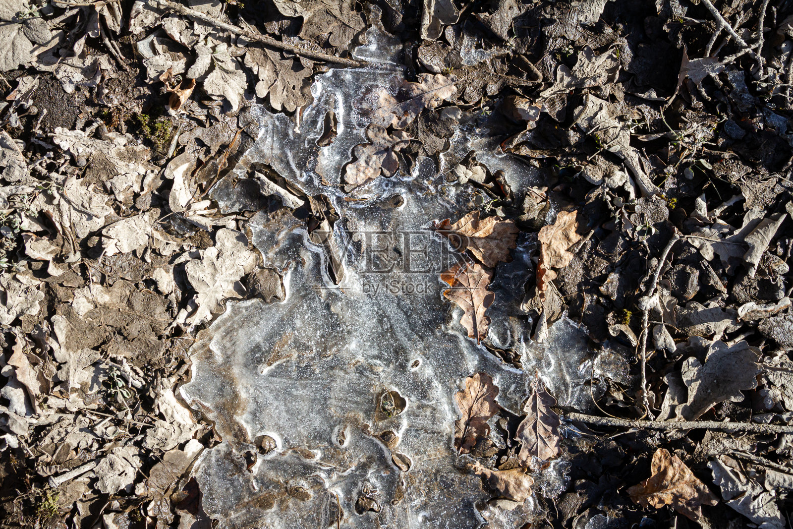 春天的地面覆盖着融化的雪照片摄影图片