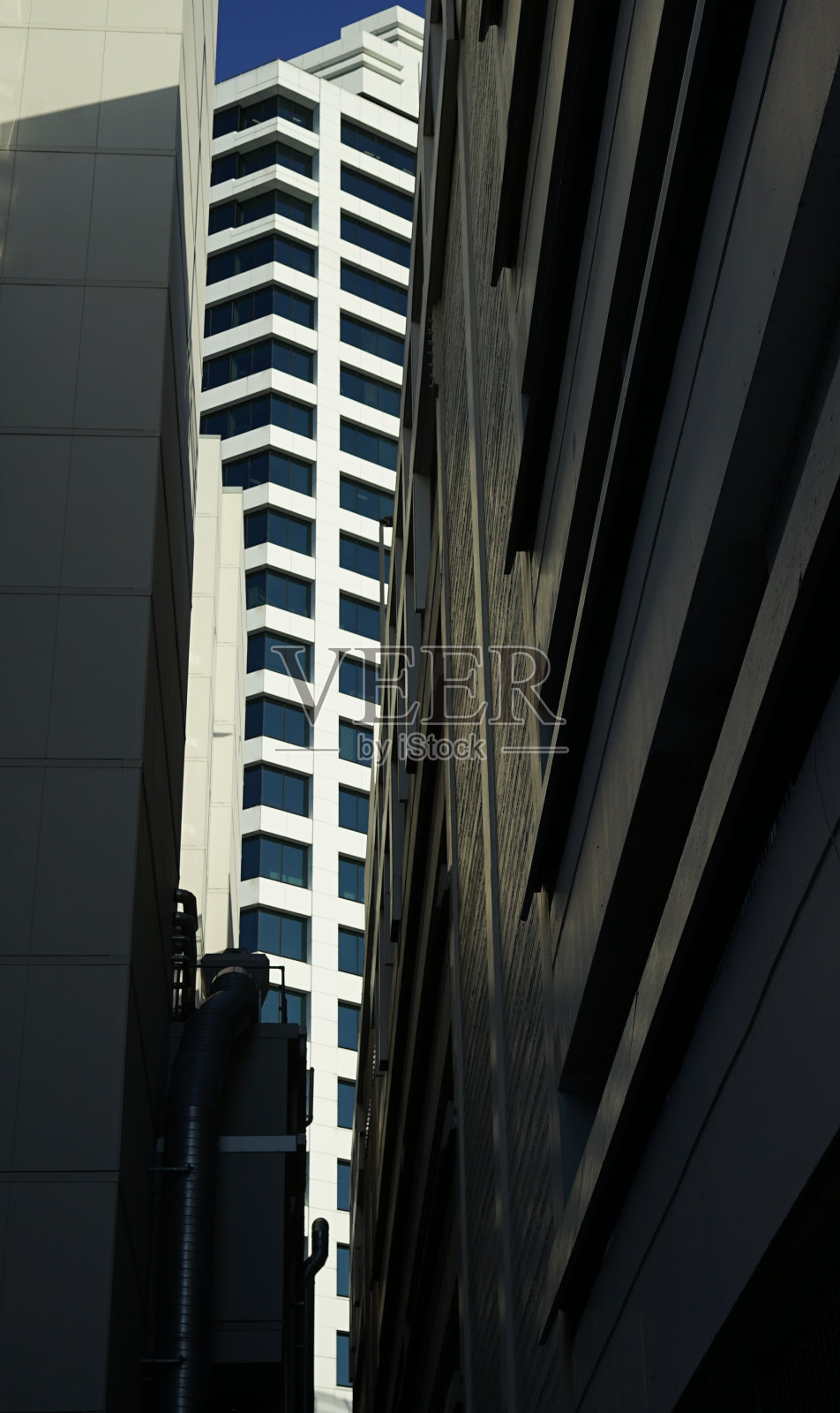 白色。照片摄影图片