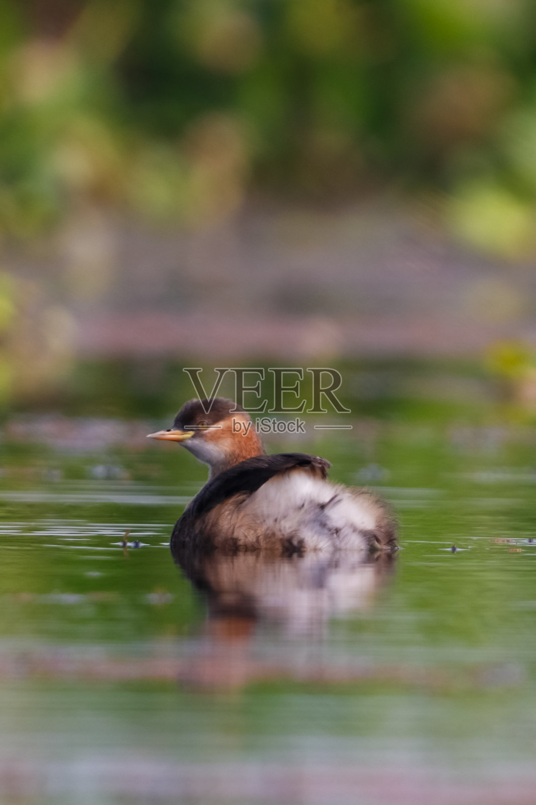 小的主观能动性照片摄影图片
