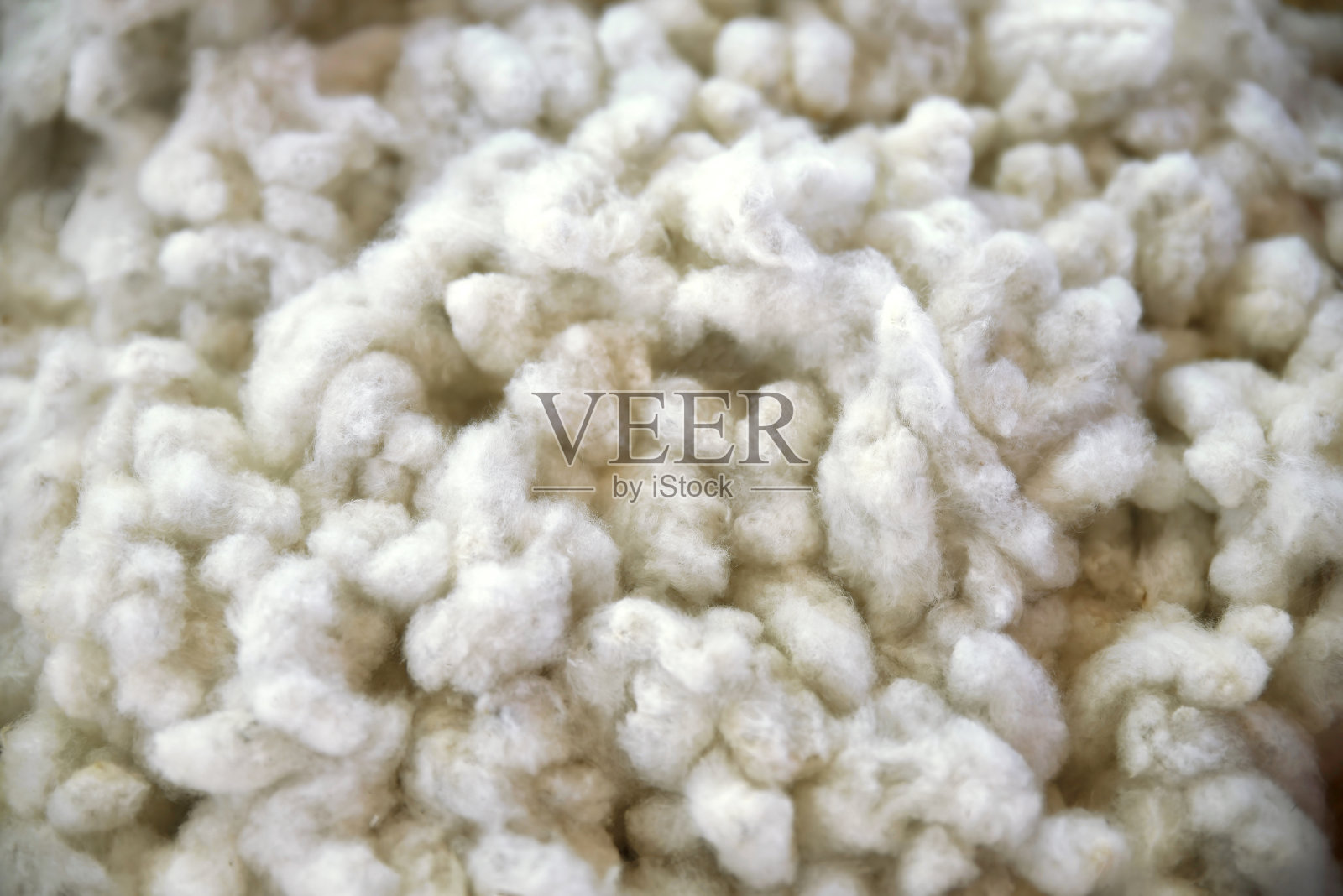 成堆的白木棉纤维，是制作纱线和织物的天然原料。照片摄影图片