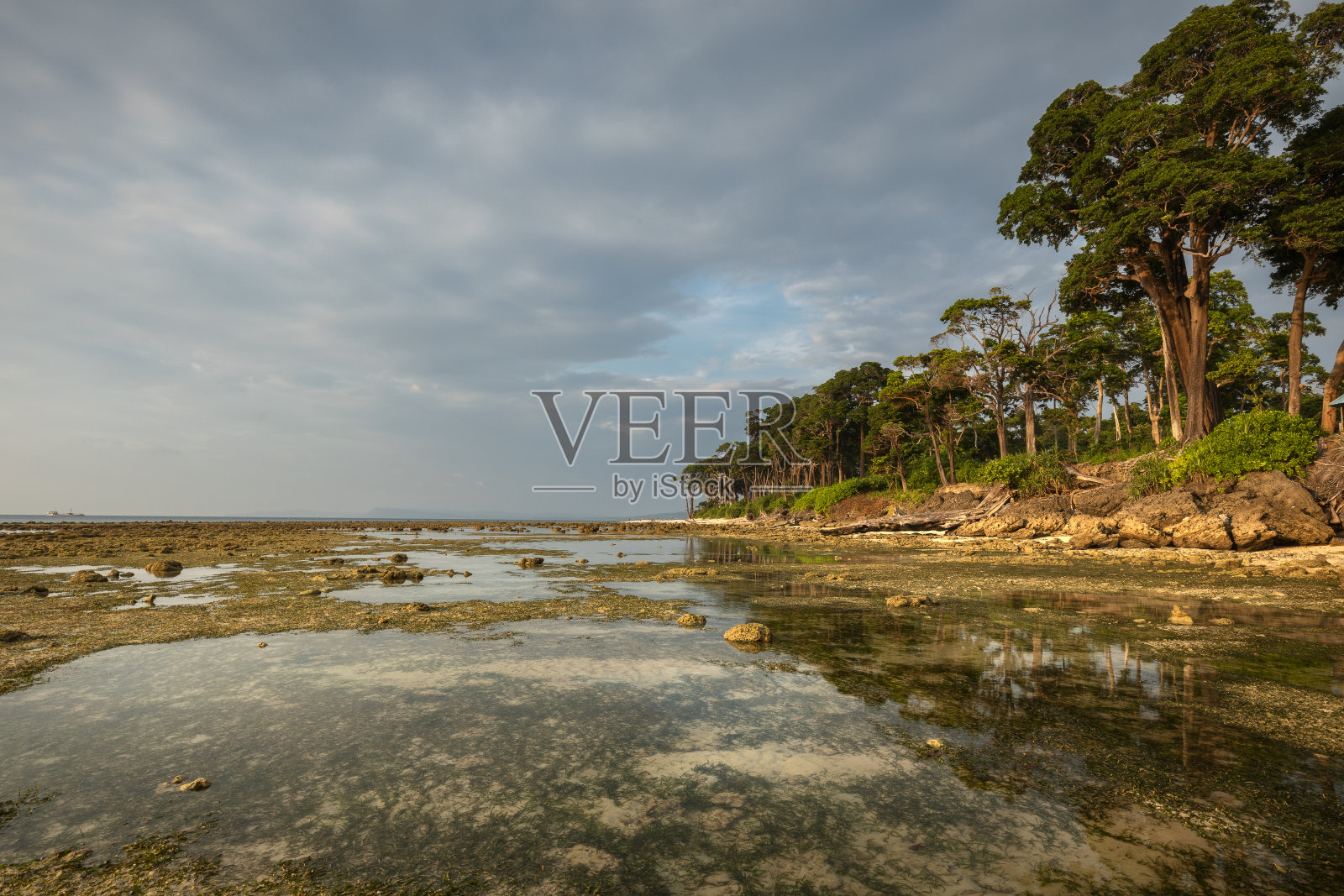 热带岛屿上风景优美的岩石海岸的低潮照片摄影图片