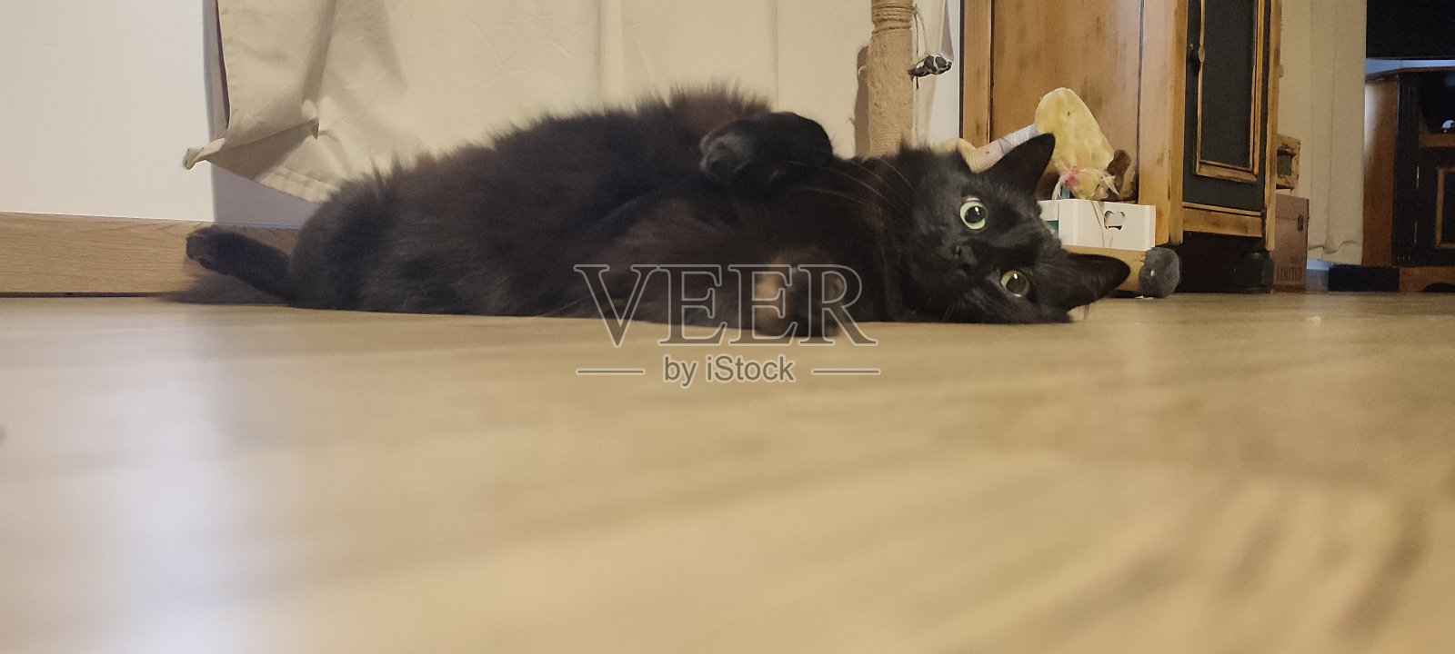 放松照片摄影图片