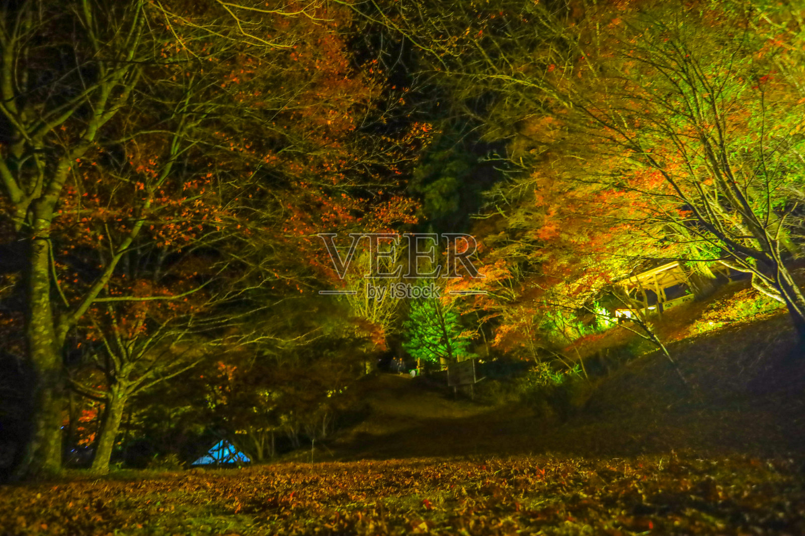 秋天的树叶照亮了Oidaira公园。照片摄影图片