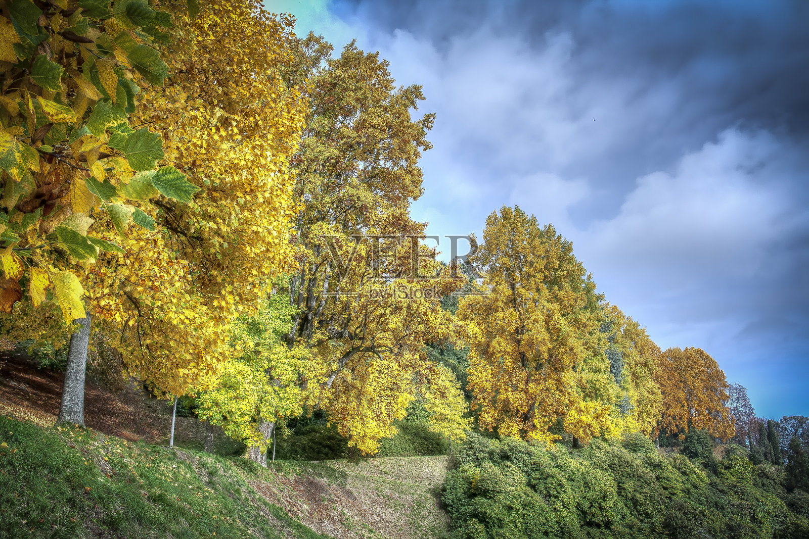 BURCINA公园照片摄影图片