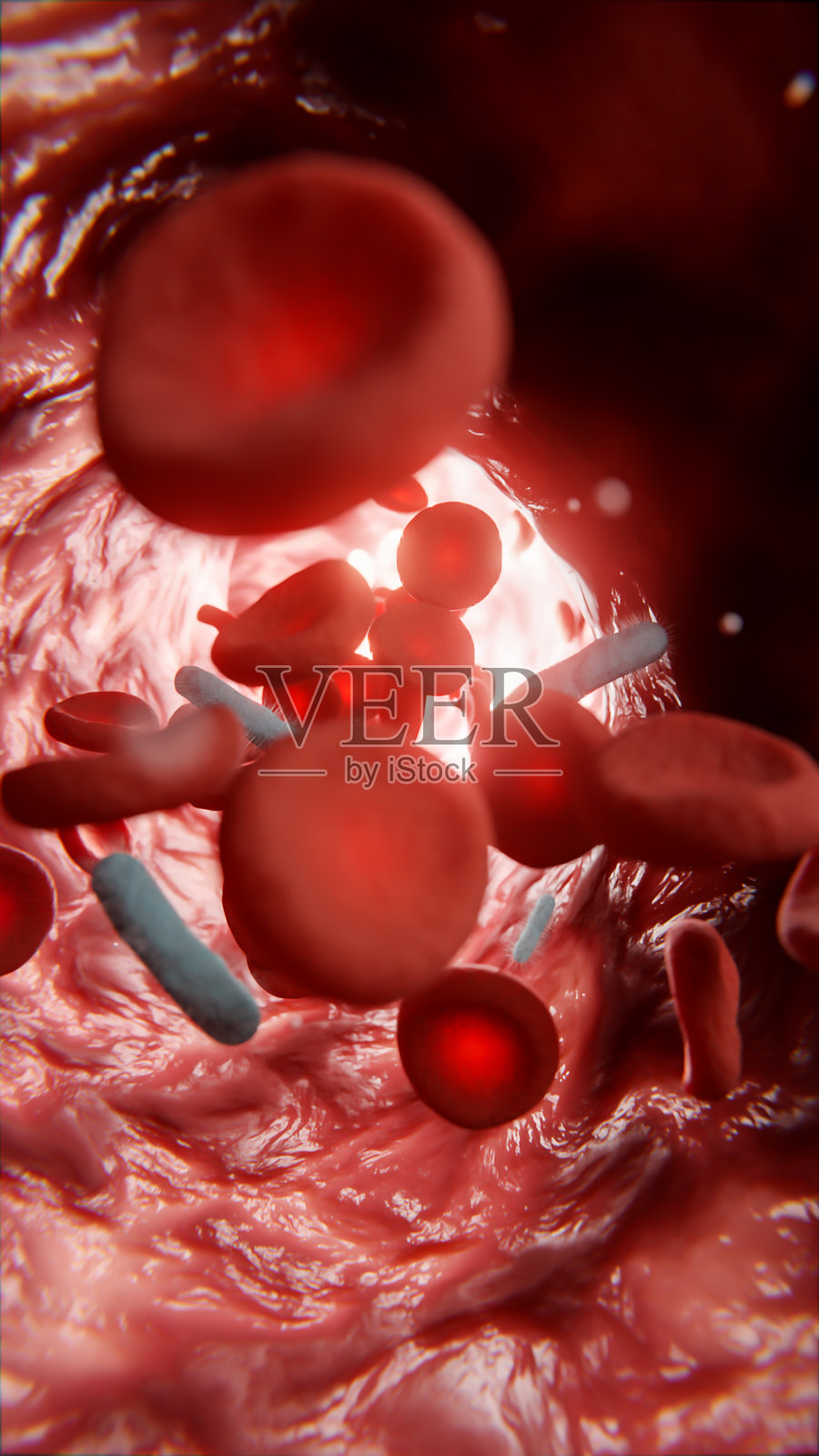 红细胞和白细胞带着病毒在动脉内移动照片摄影图片