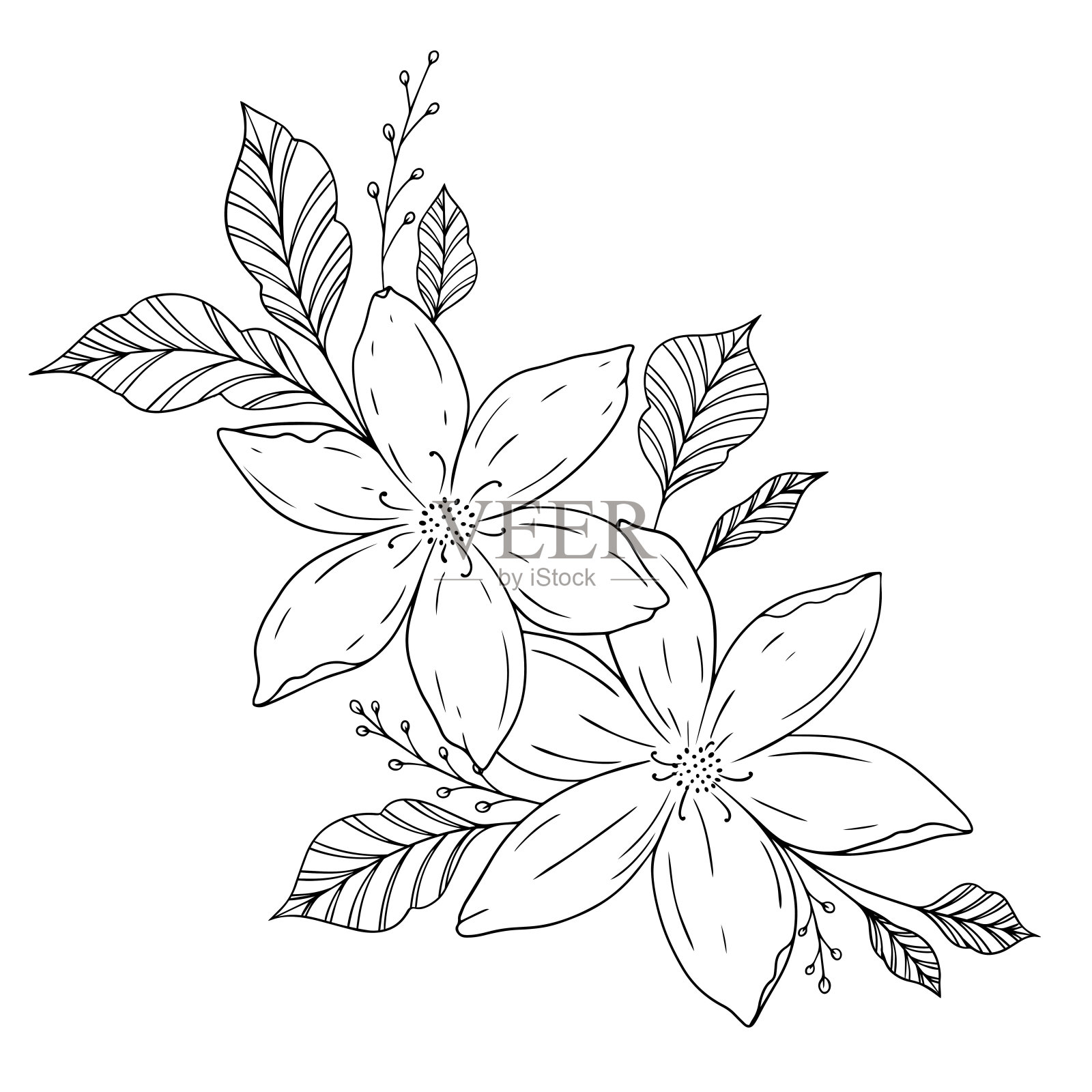 矢量线艺术和手绘花卉艺术黑白平面设计简单的花插画图片素材