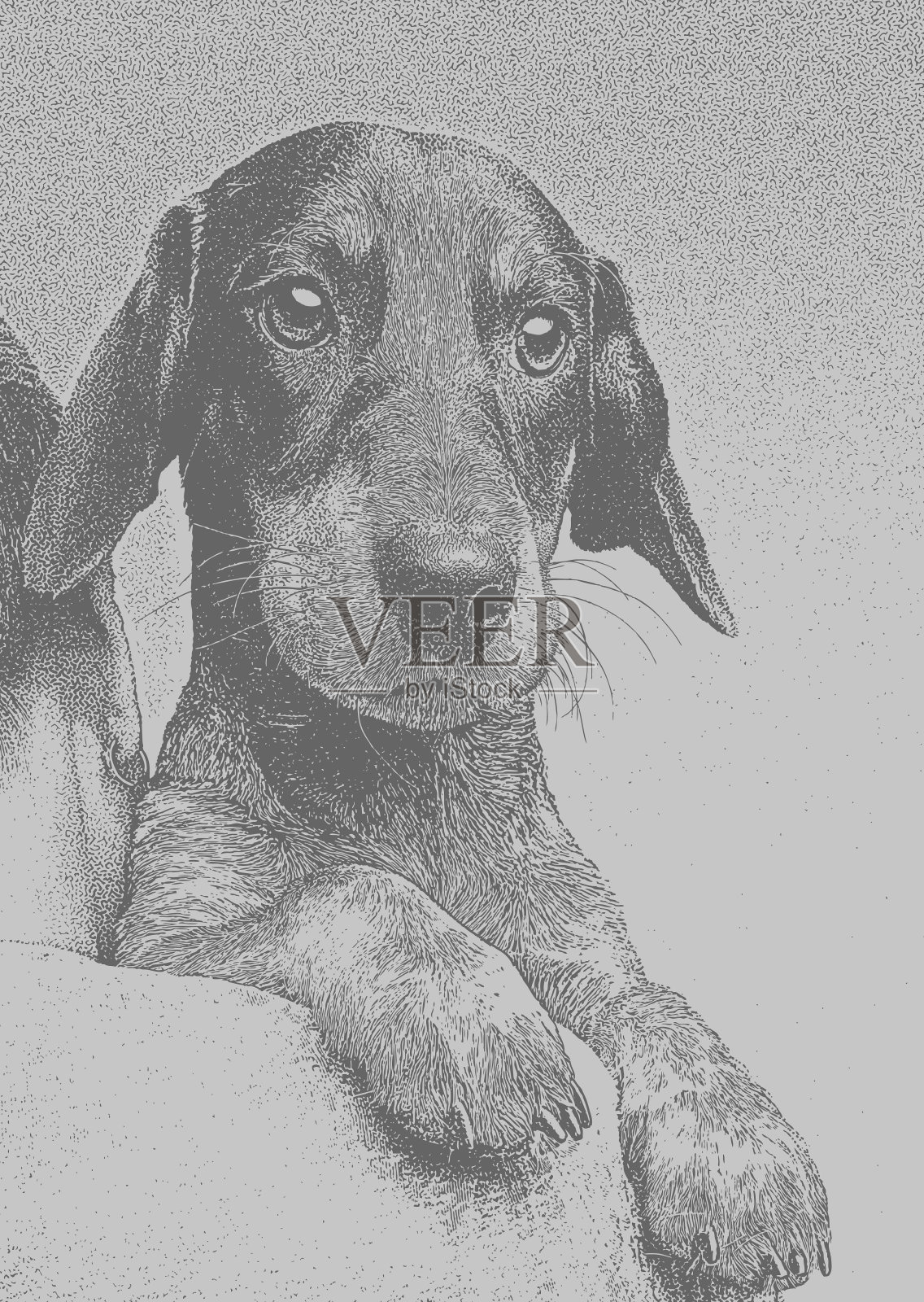 女人抱着腊肠狗插画图片素材