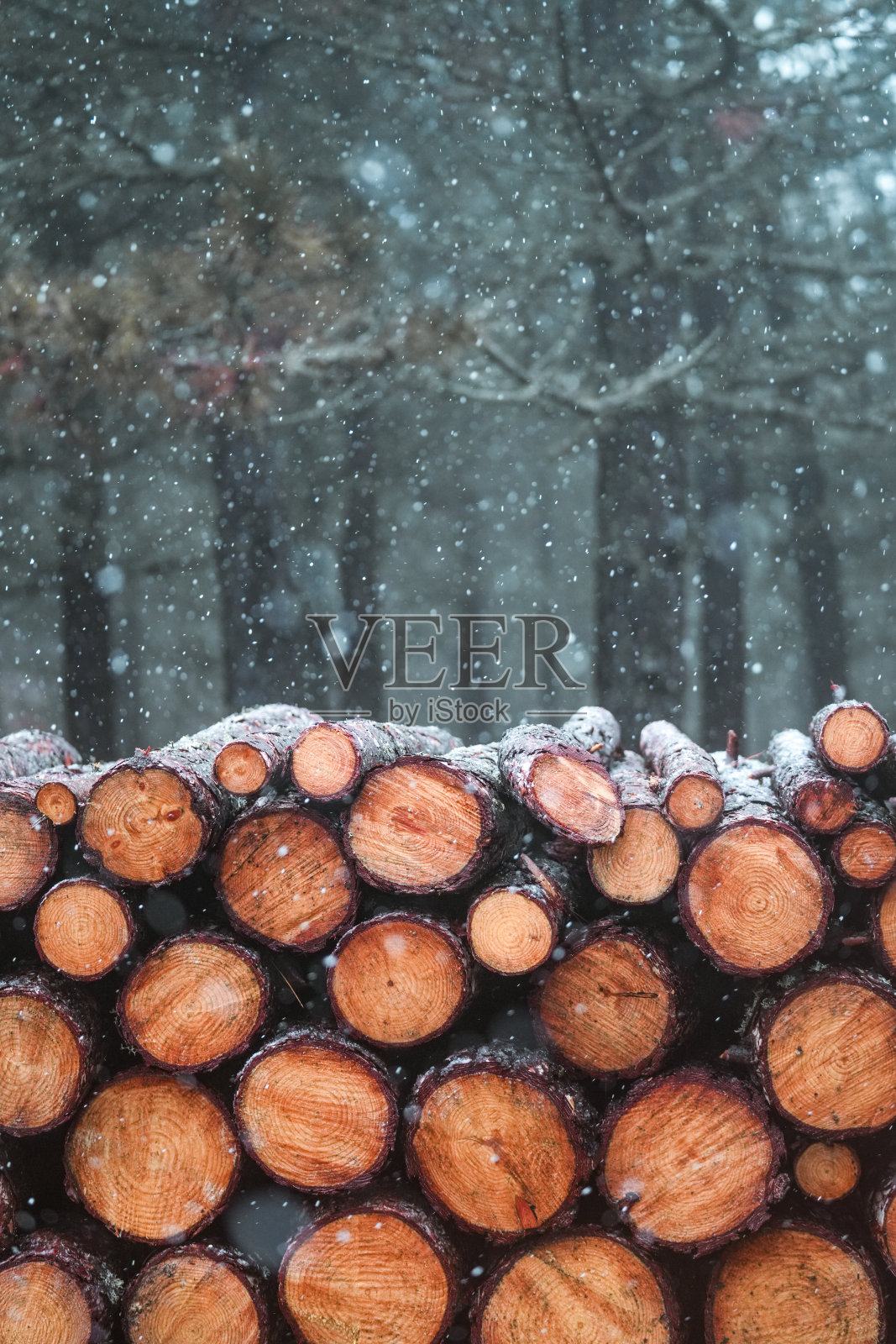 冬天，在雪下储存的柴火、原木。空中飘着雪花。节日的气氛照片摄影图片