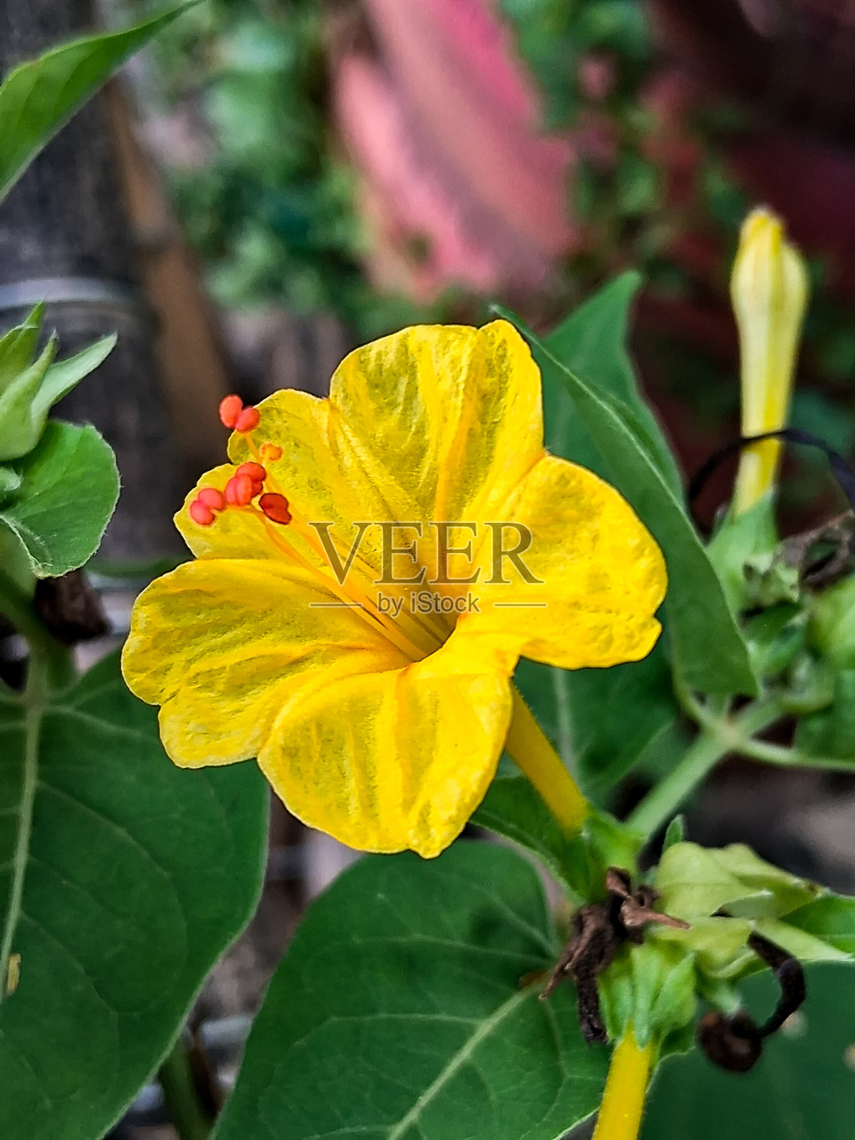 灵感照片摄影图片