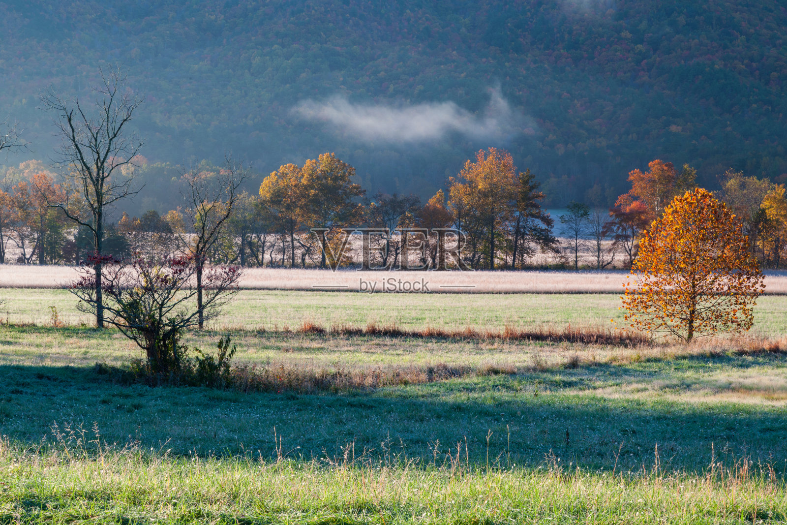 卡德斯湾的秋天照片摄影图片