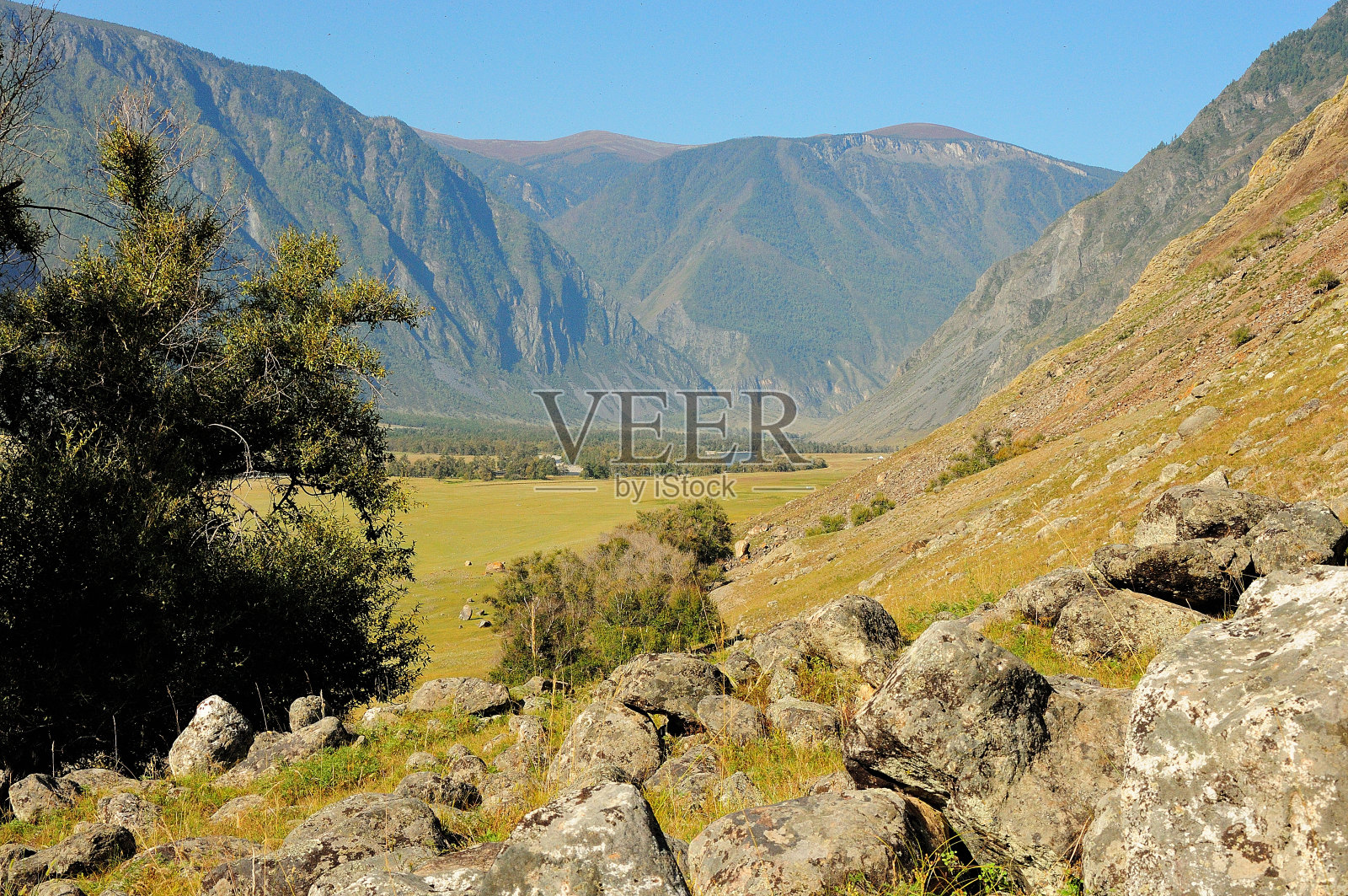 在一个温暖的秋日里，从一个多石的高山斜坡上透过灌木丛看到夹在群山中的狭窄山谷。照片摄影图片