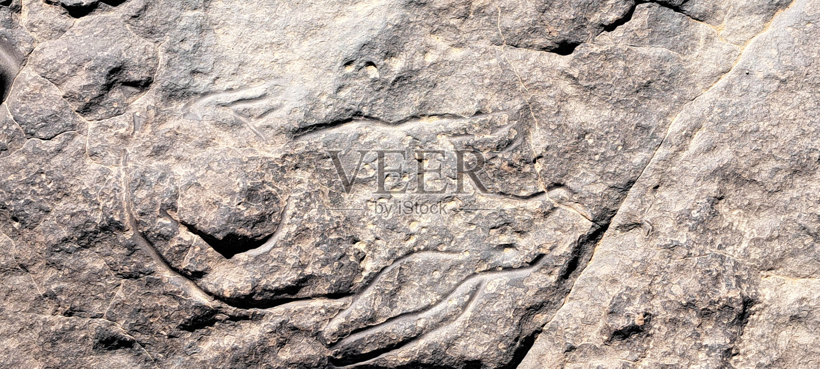 撒哈拉沙漠的新石器时代岩石雕刻照片摄影图片