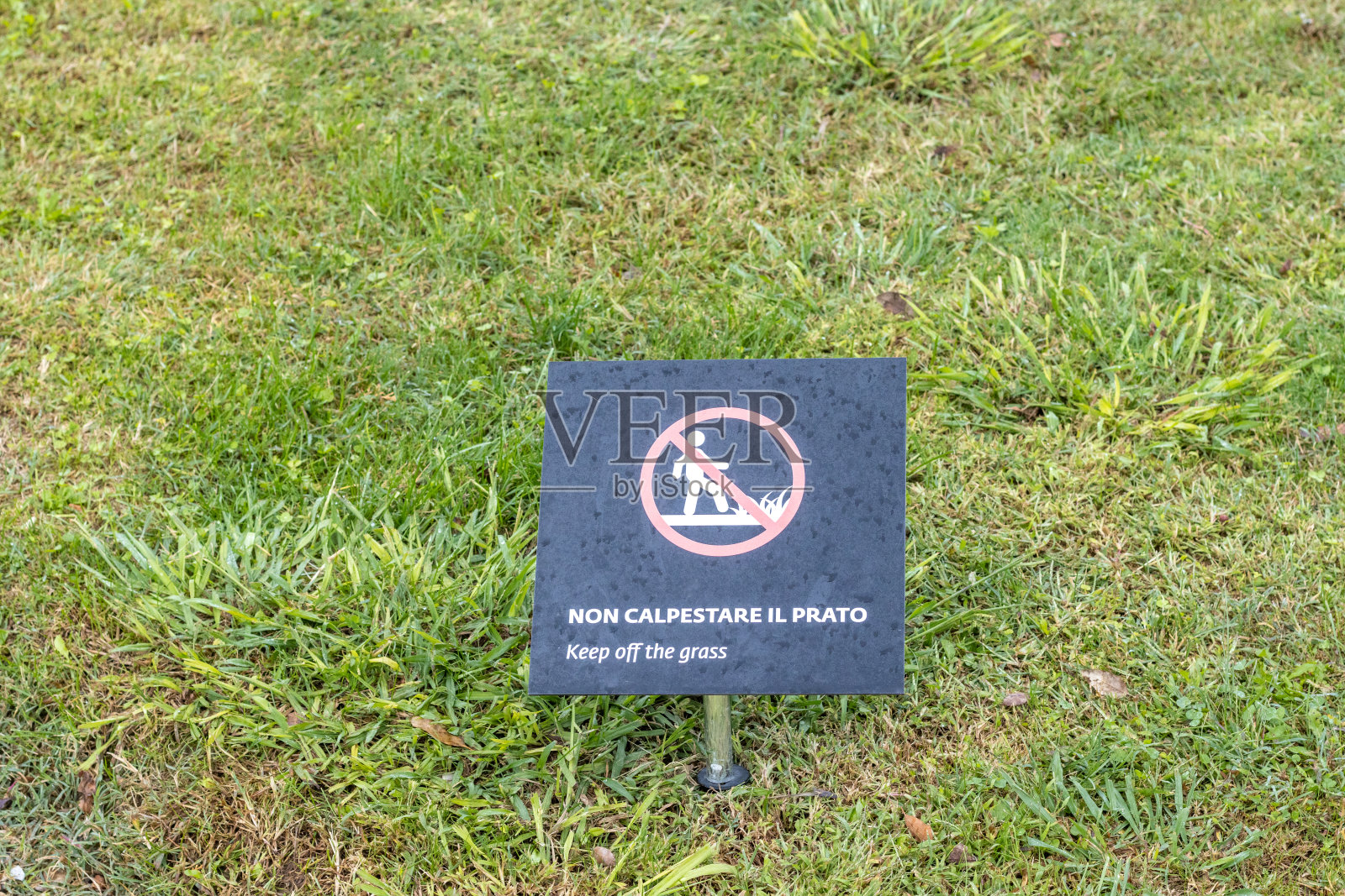 意大利托斯卡纳佛罗伦萨波波里花园的草坪标志照片摄影图片