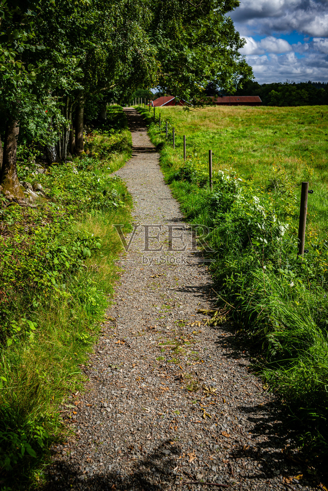 老乡村路照片摄影图片