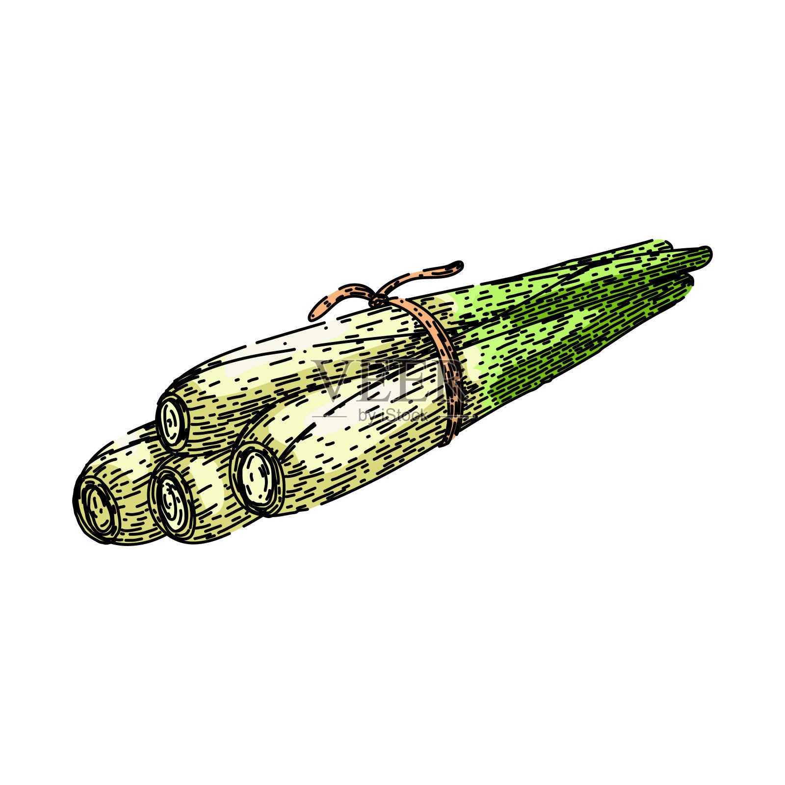 柠檬柠檬草素描手绘矢量插画图片素材