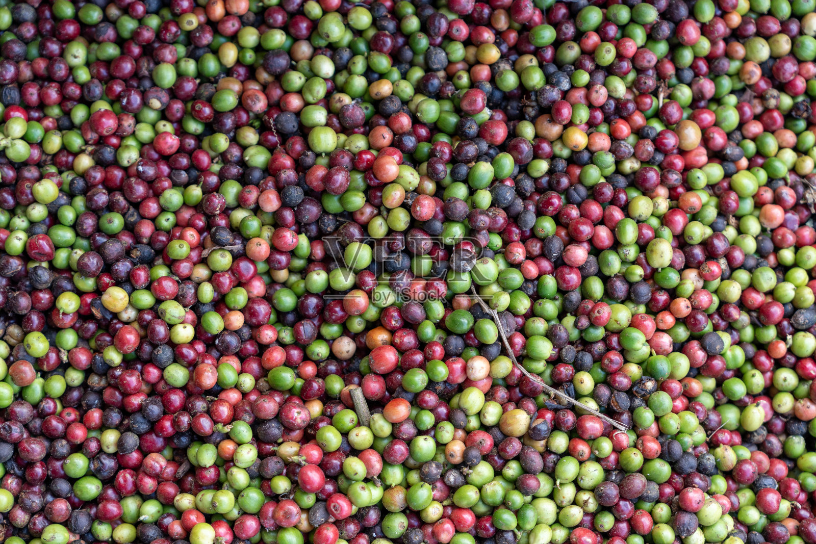 俯视图一堆五颜六色的新鲜咖啡水果照片摄影图片