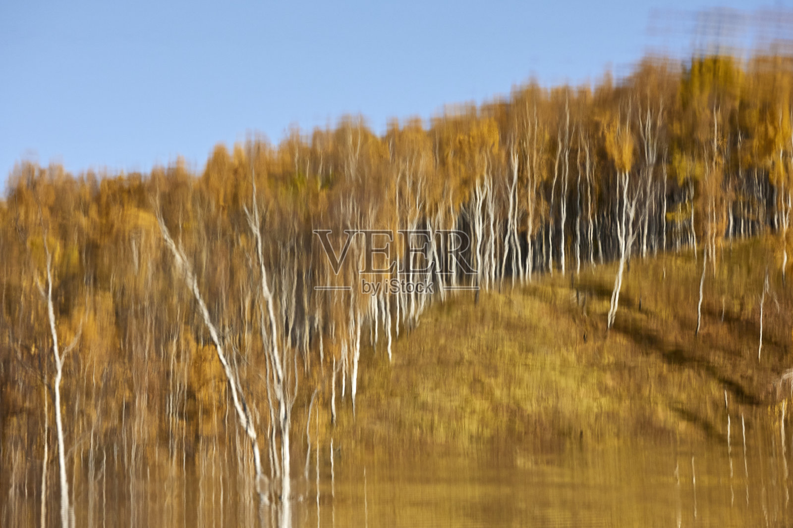 山上的秋林倒映在水中照片摄影图片