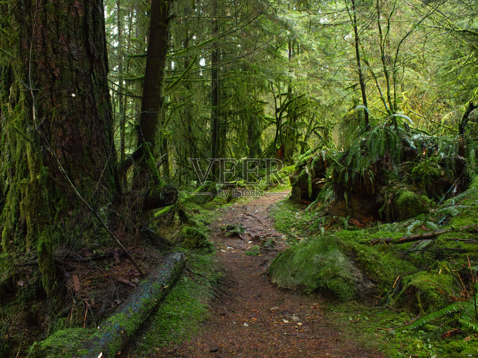 自然的冒险照片摄影图片