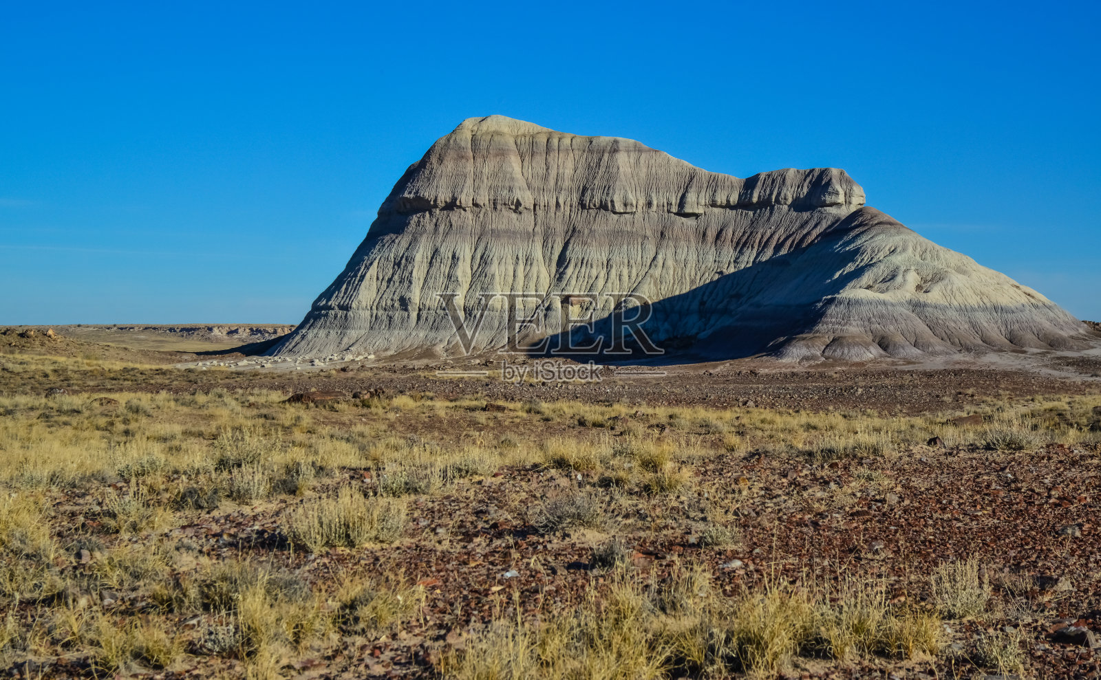 石化树的树干，多种颜色的矿物晶体。石化森林国家公园，亚利桑那州照片摄影图片