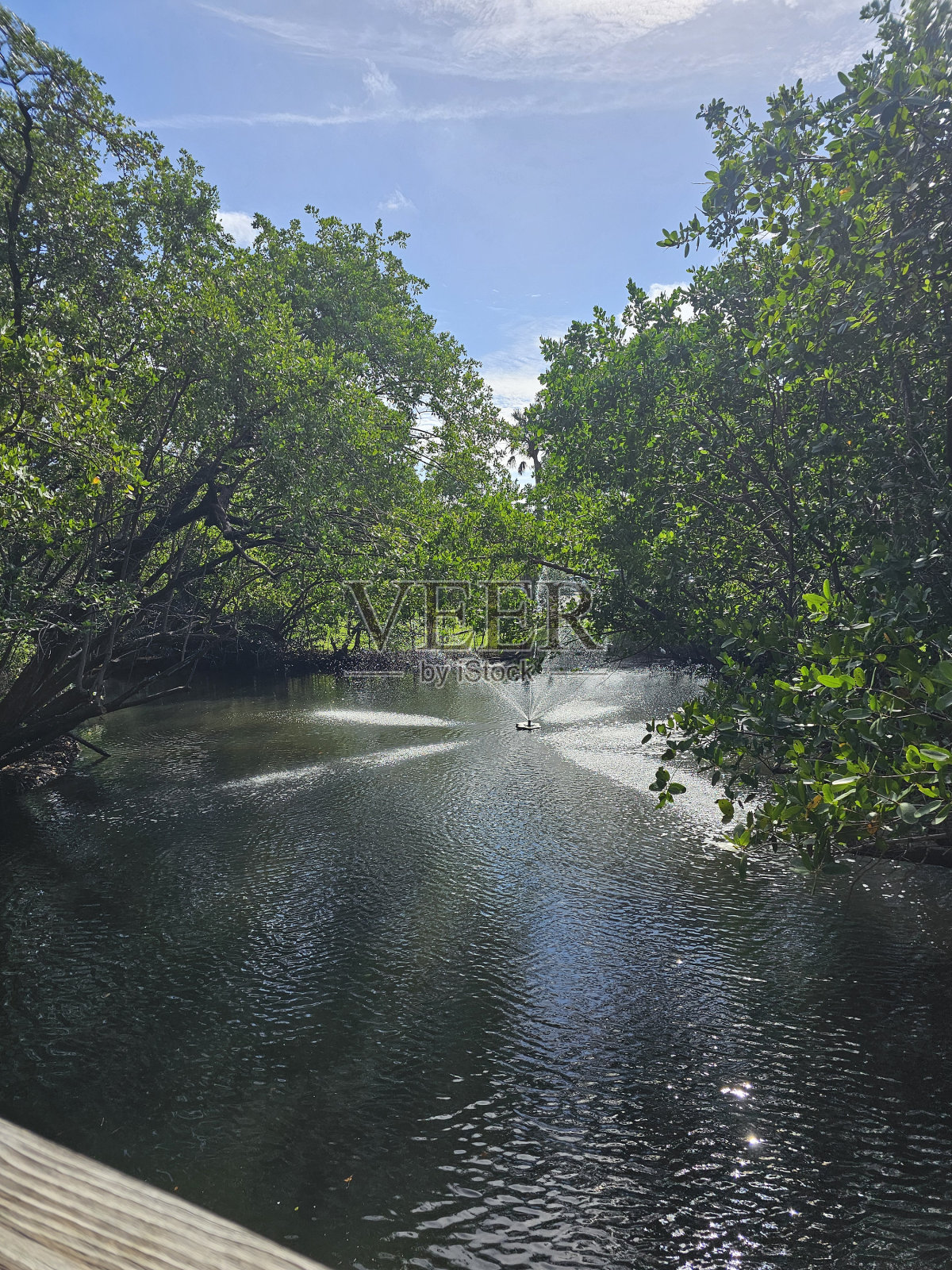 湖上的喷泉照片摄影图片