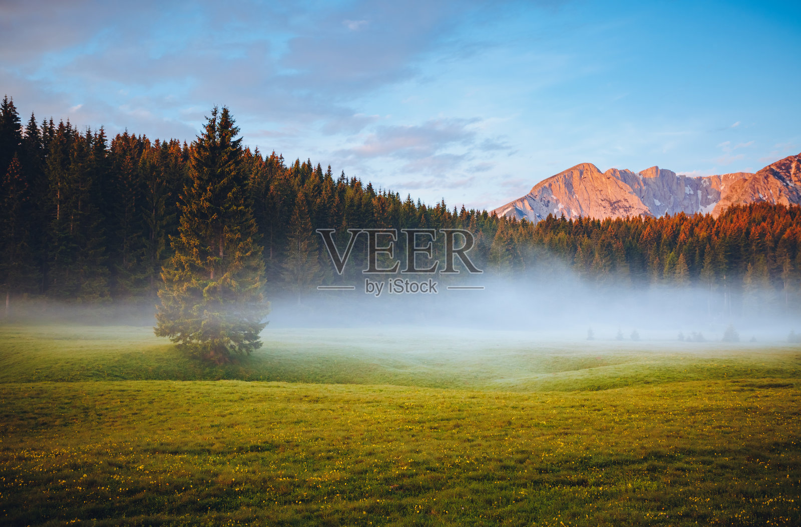 雾蒙蒙的夏日，杜密特国家公园。地点:黑山Zabljak村。照片摄影图片