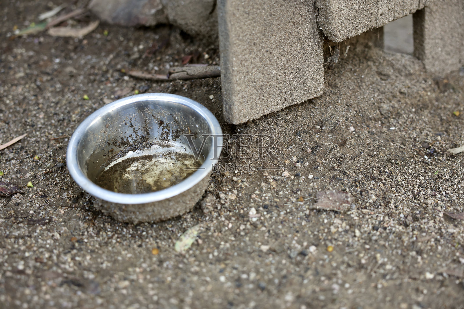 脏的宠物水盘落在雨里了照片摄影图片