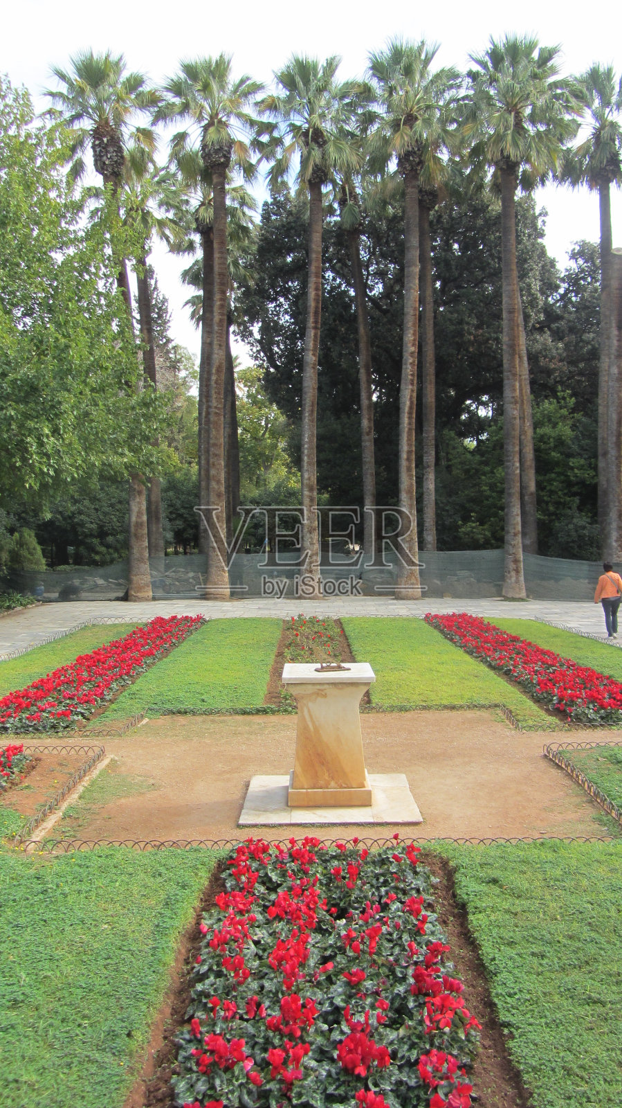 查顿照片摄影图片