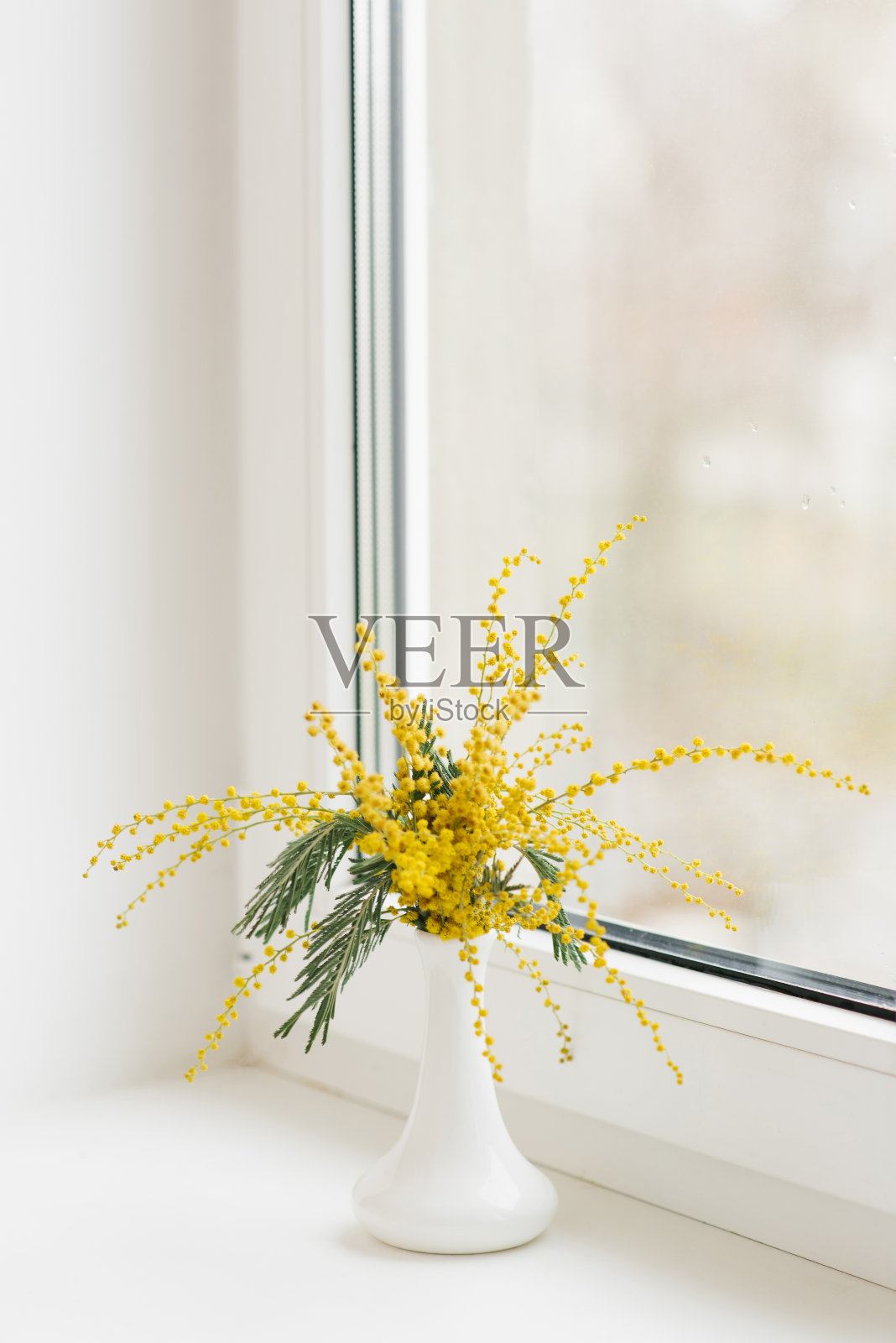 白天白色窗台上的一束黄色含羞草照片摄影图片